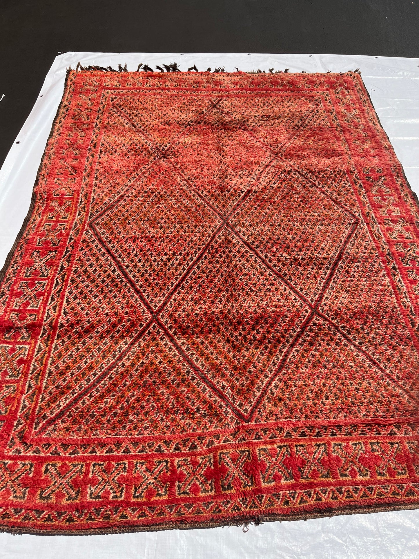 AORug#654 size.8.11x6.4