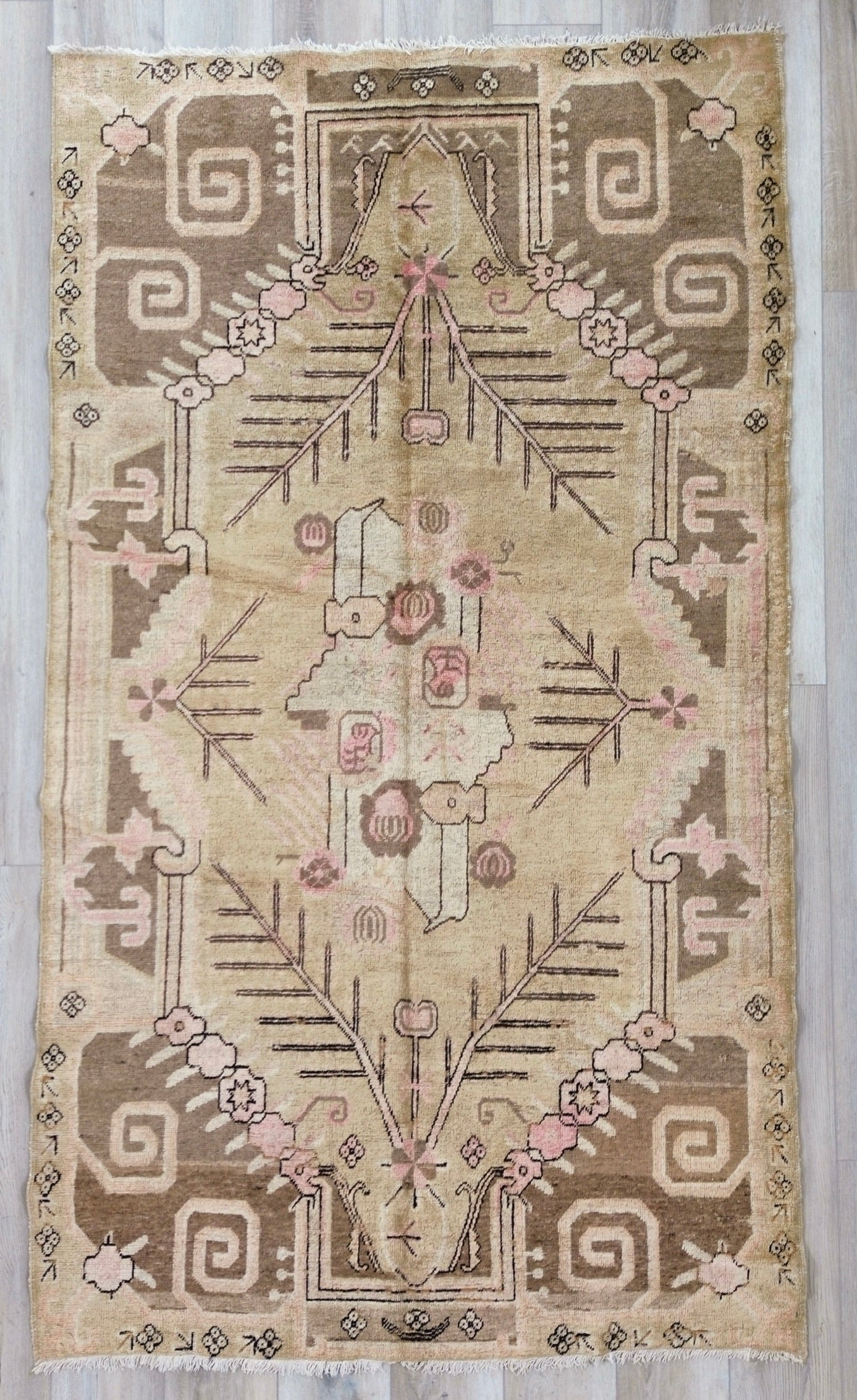 AORug#556