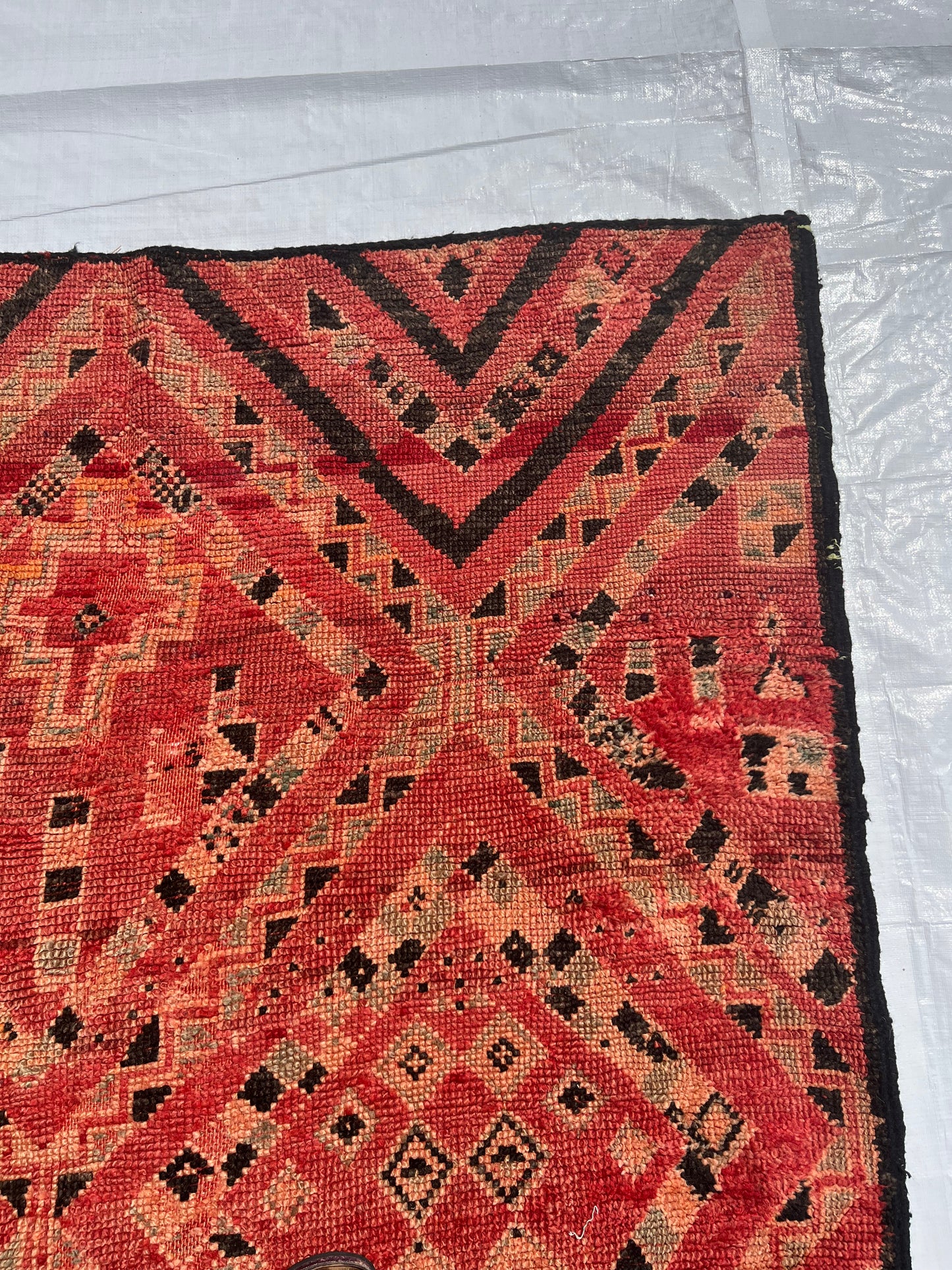 AORug#683 size. 6x5