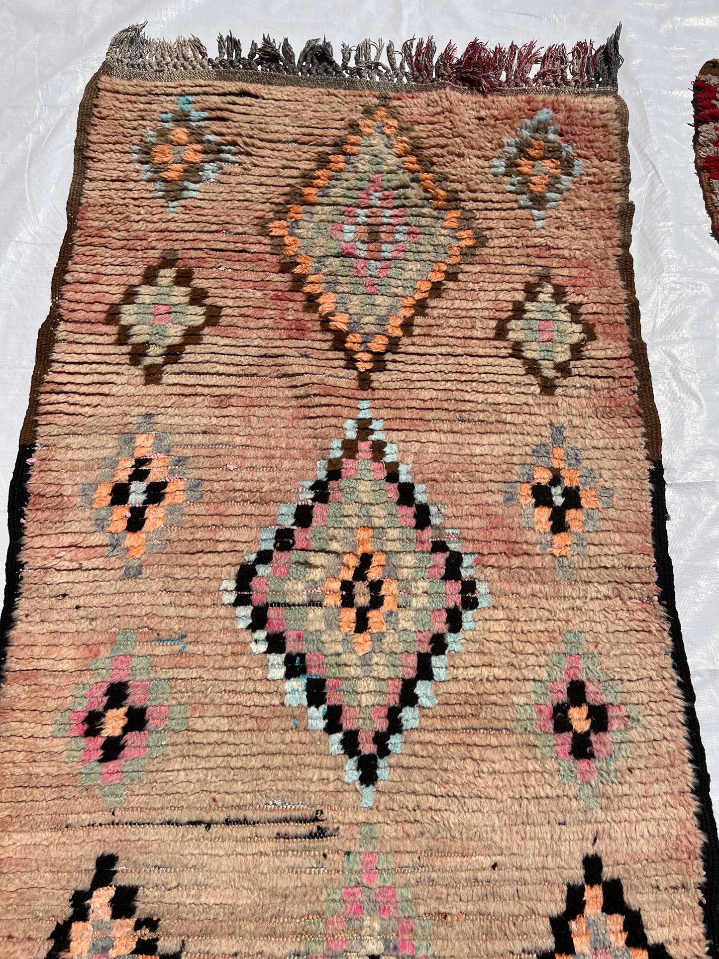 AORug#679