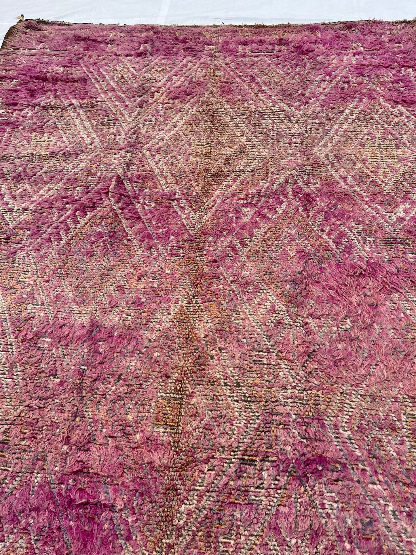 AORug#651 size.11.2x6.6