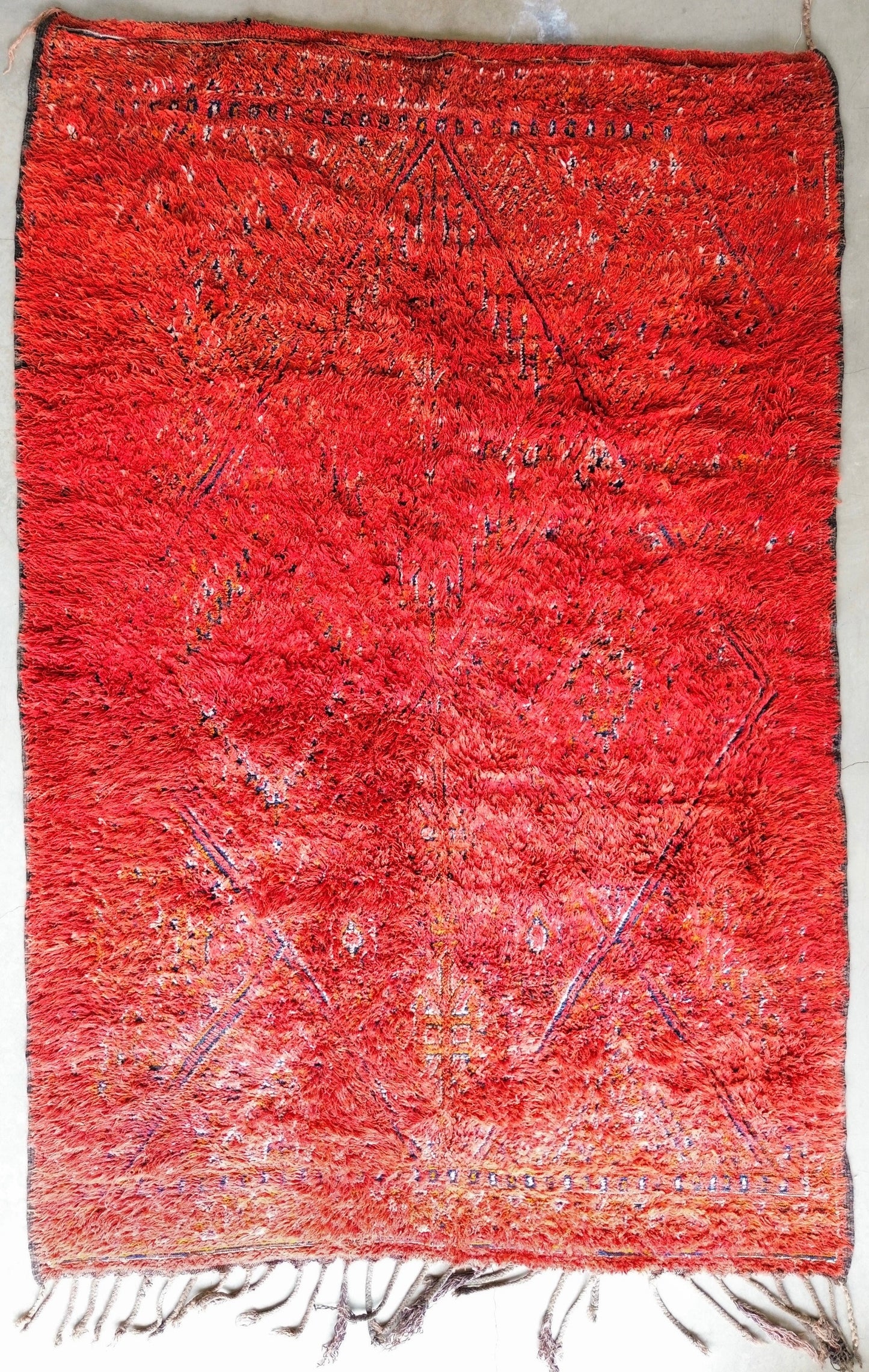 AORug#648