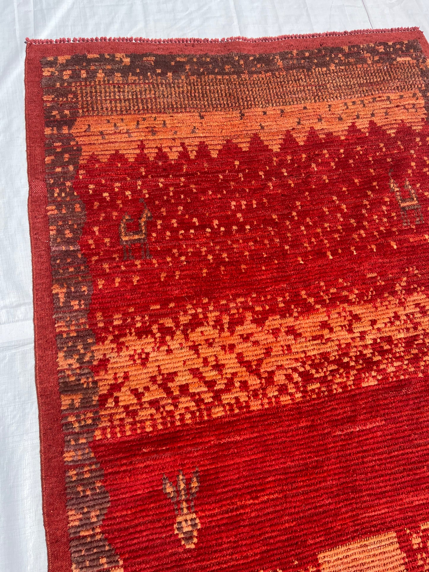 AORug#721