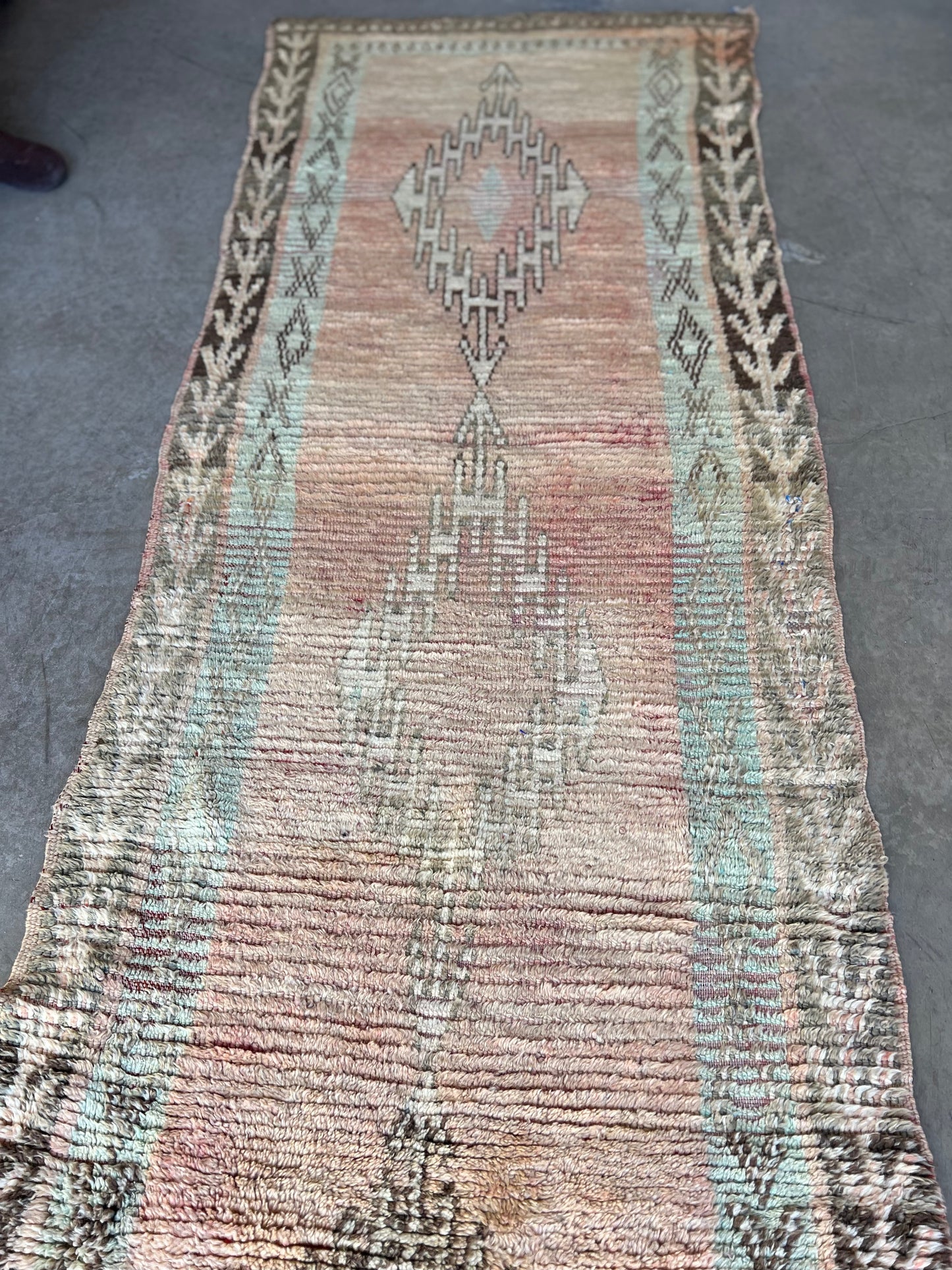 AORug#667 size.8.8x3.7