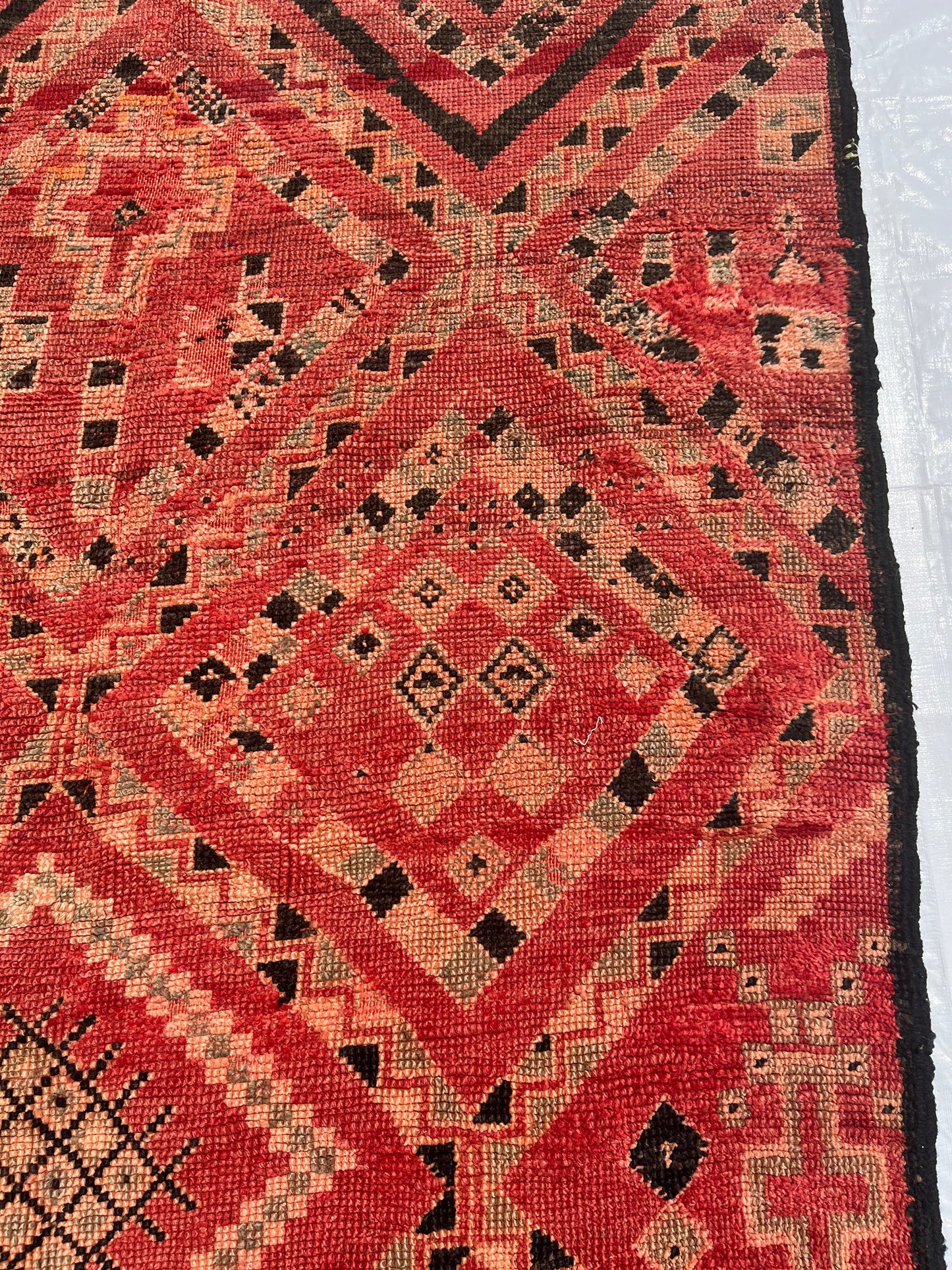 AORug#683 size. 6x5