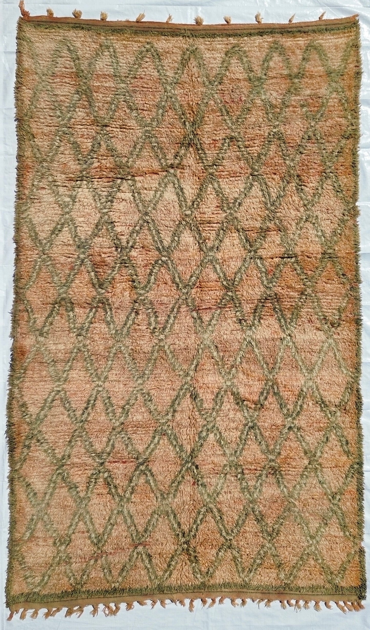 AORug#649 size.5.5x9