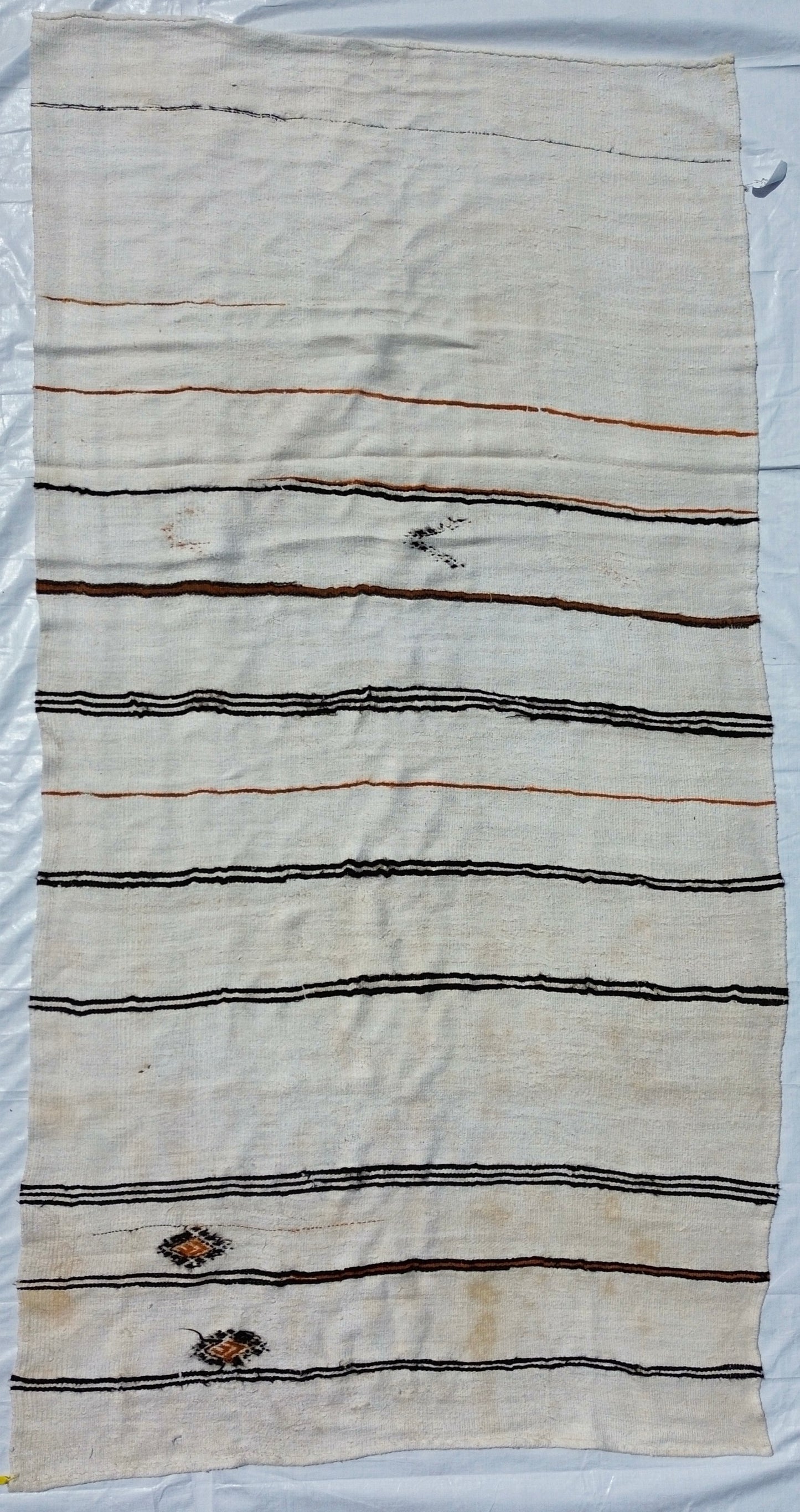 AORug#727