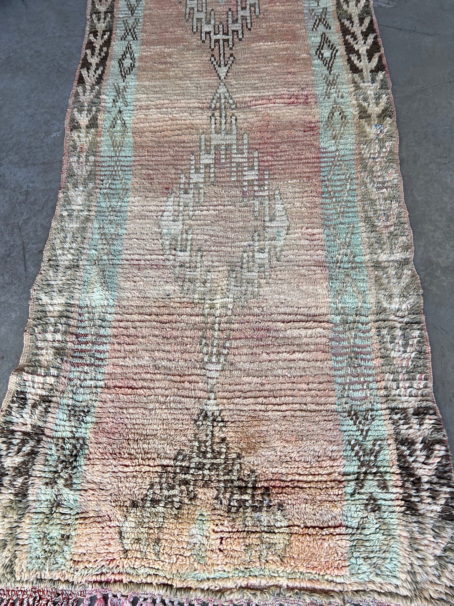 AORug#667 size.8.8x3.7