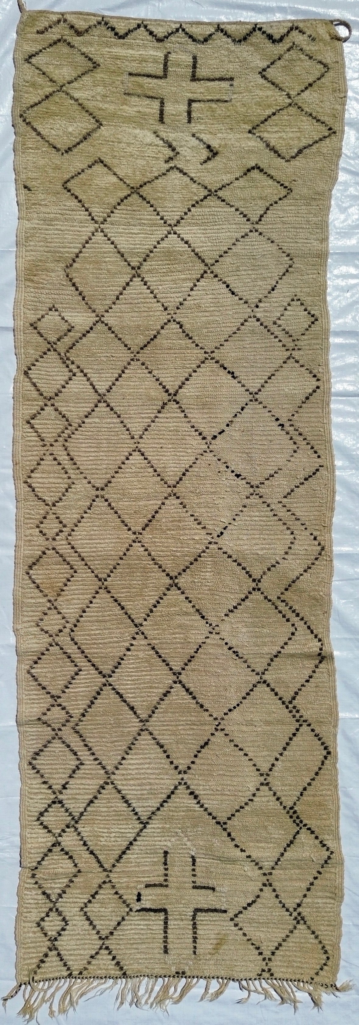 AORug#719