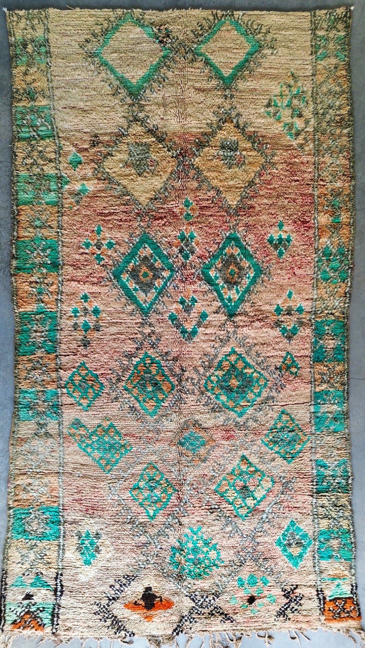 AORug#646 size. 6.2x11.4
