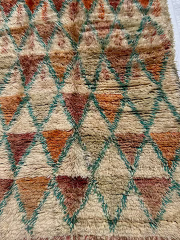 AORug#692 size.4.8X8.2
