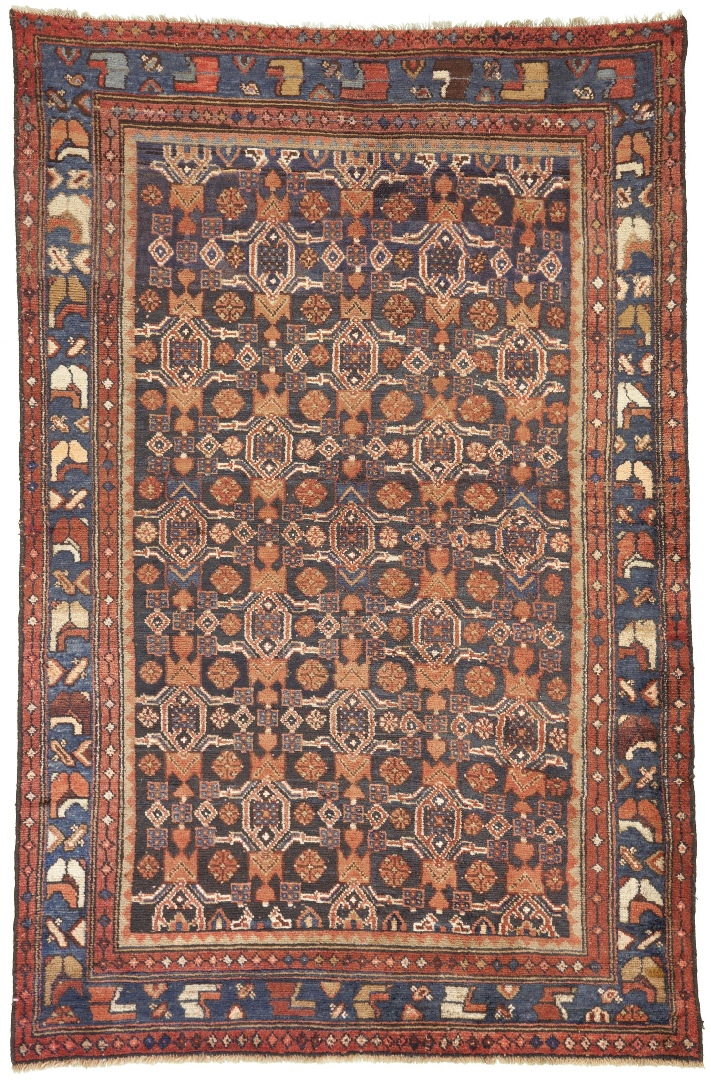 AORug#3351 size. 4' 06" x 6' 07"