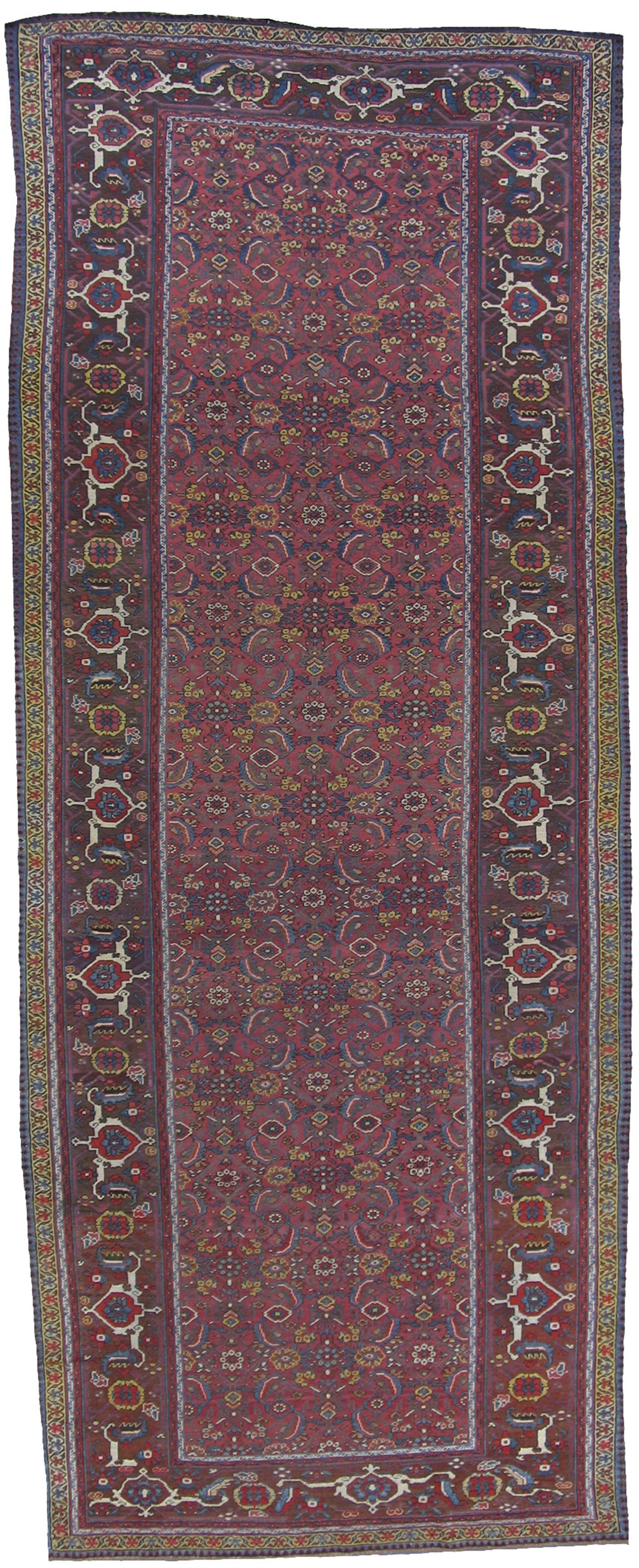 AORug#3527 size. 6' 05" x 16' 02"