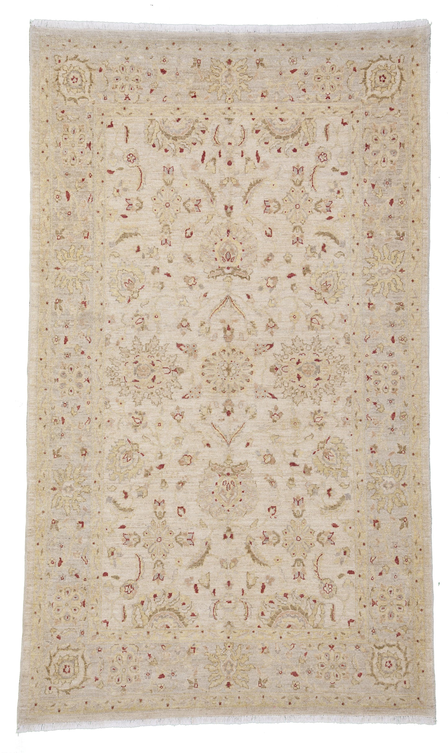 AORug#1400 size.5' 10" x 10' 00"
