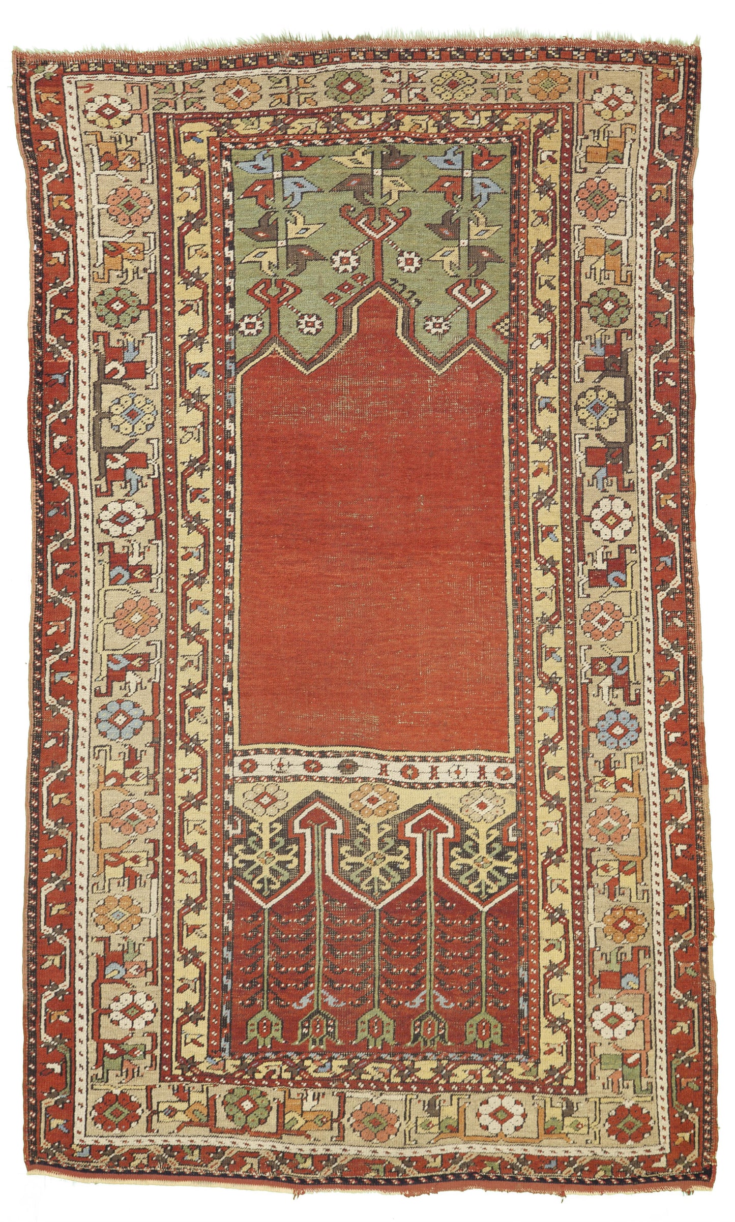 AORug#8430 size. 3' 11" x 6' 06"