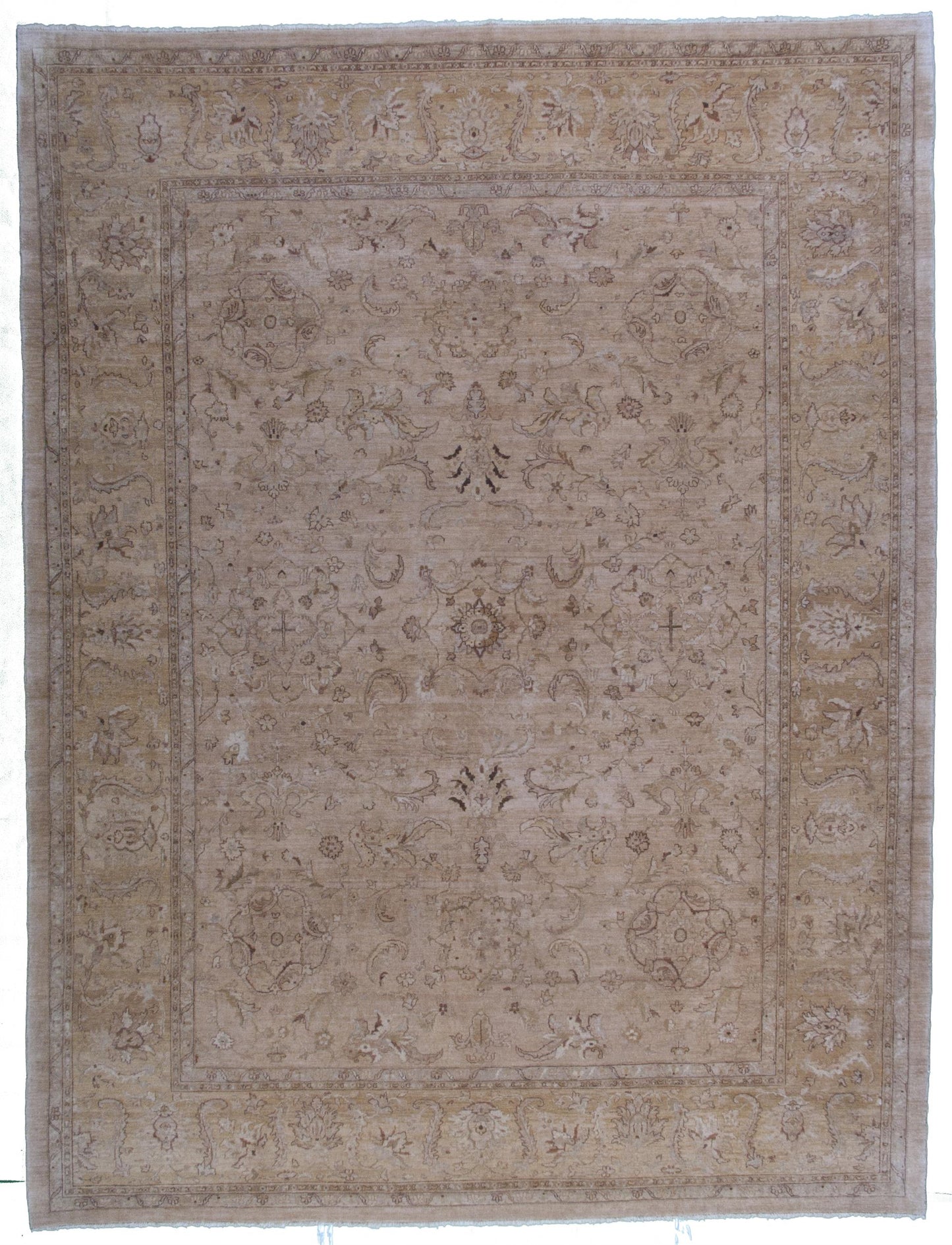 AORug#809 size.8' 11" x 11' 09"