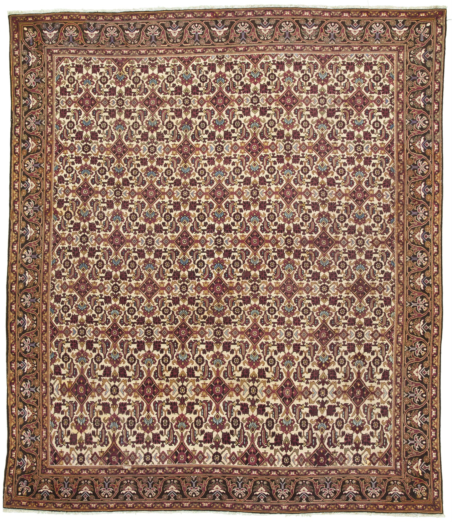 AORug#3140 size. 10' 00" x 11' 09"