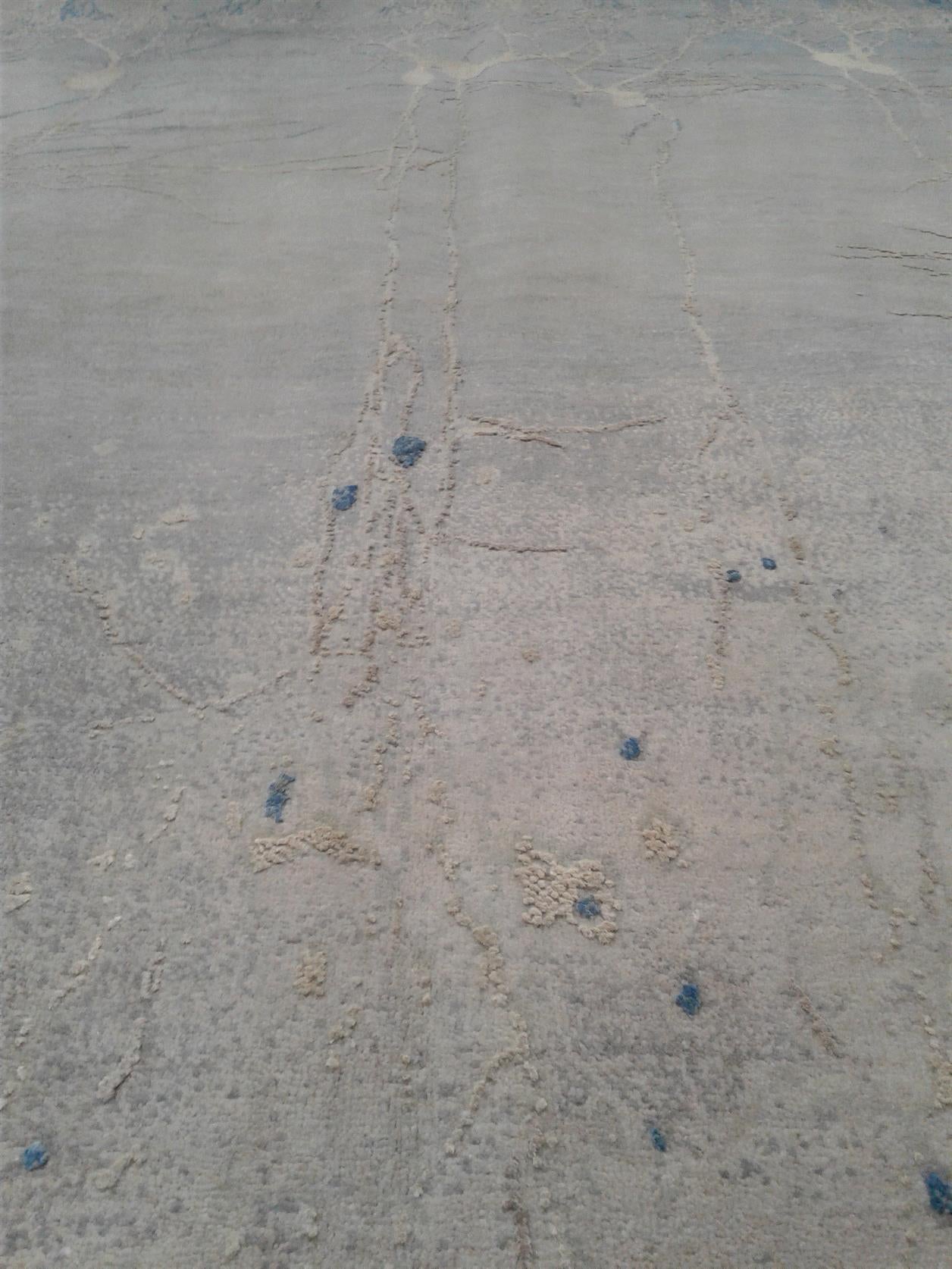 AORug#10327 size. 8' 00" x 10' 03"