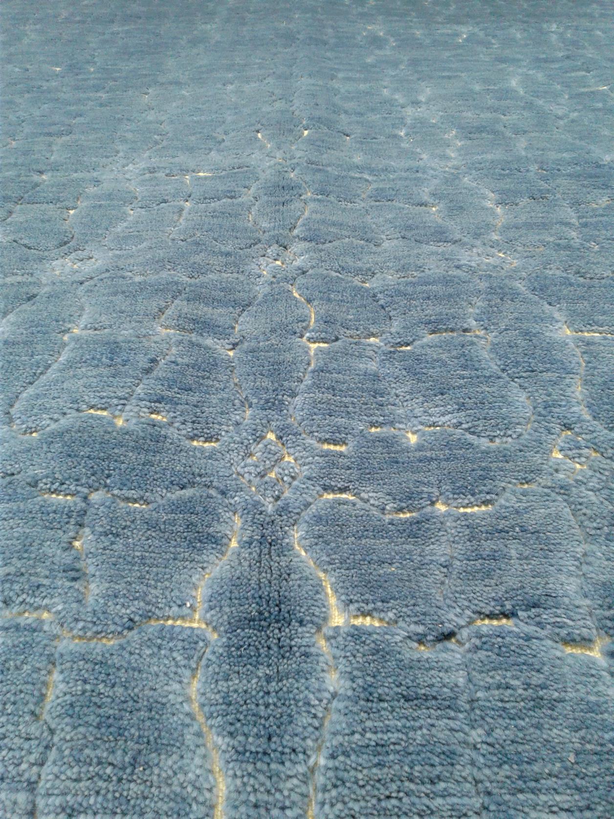 AORug#8807 size. 7' 04" x 10' 05"