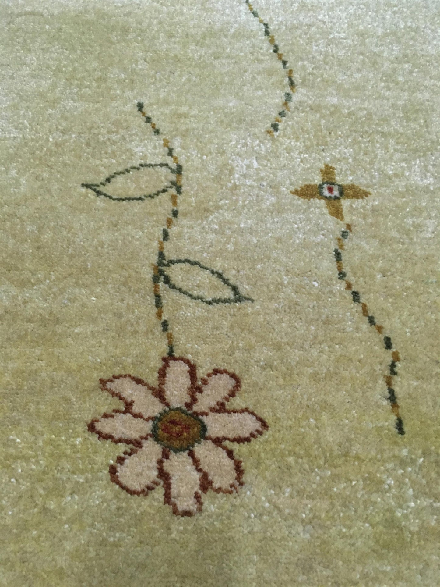 AORug#1060 size.3' 01" x 5' 00"