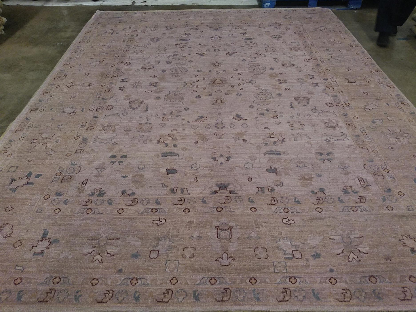 AORug#2304 size. 8' 01" x 10' 02"