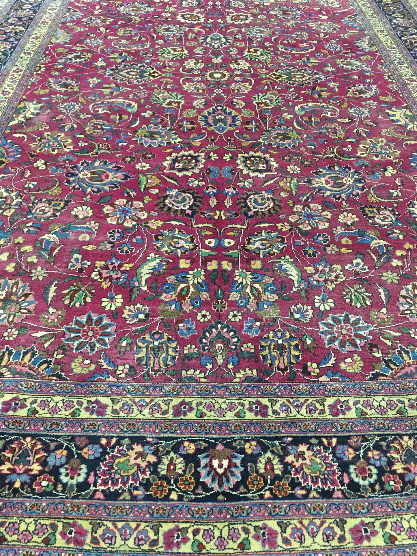 AORug#12859 size. 10' 01" x 15' 05"