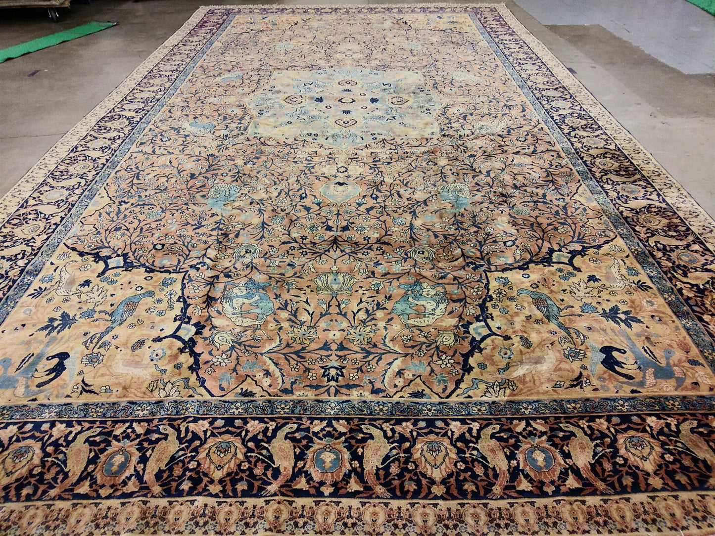 AORug#13407 size. 11' 09" x 21' 06"