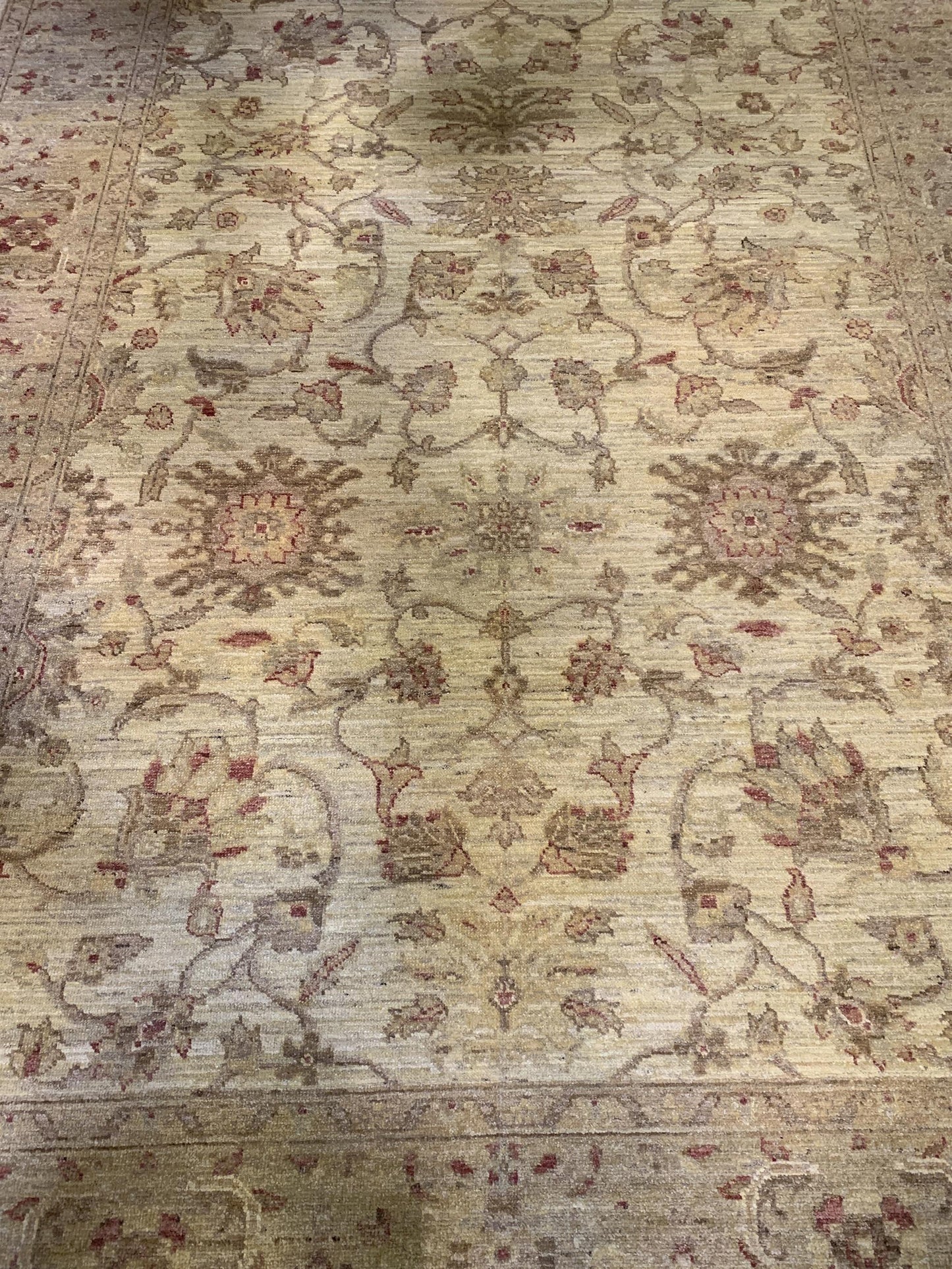 AORug#2313 size. 5' 10" x 8' 11"