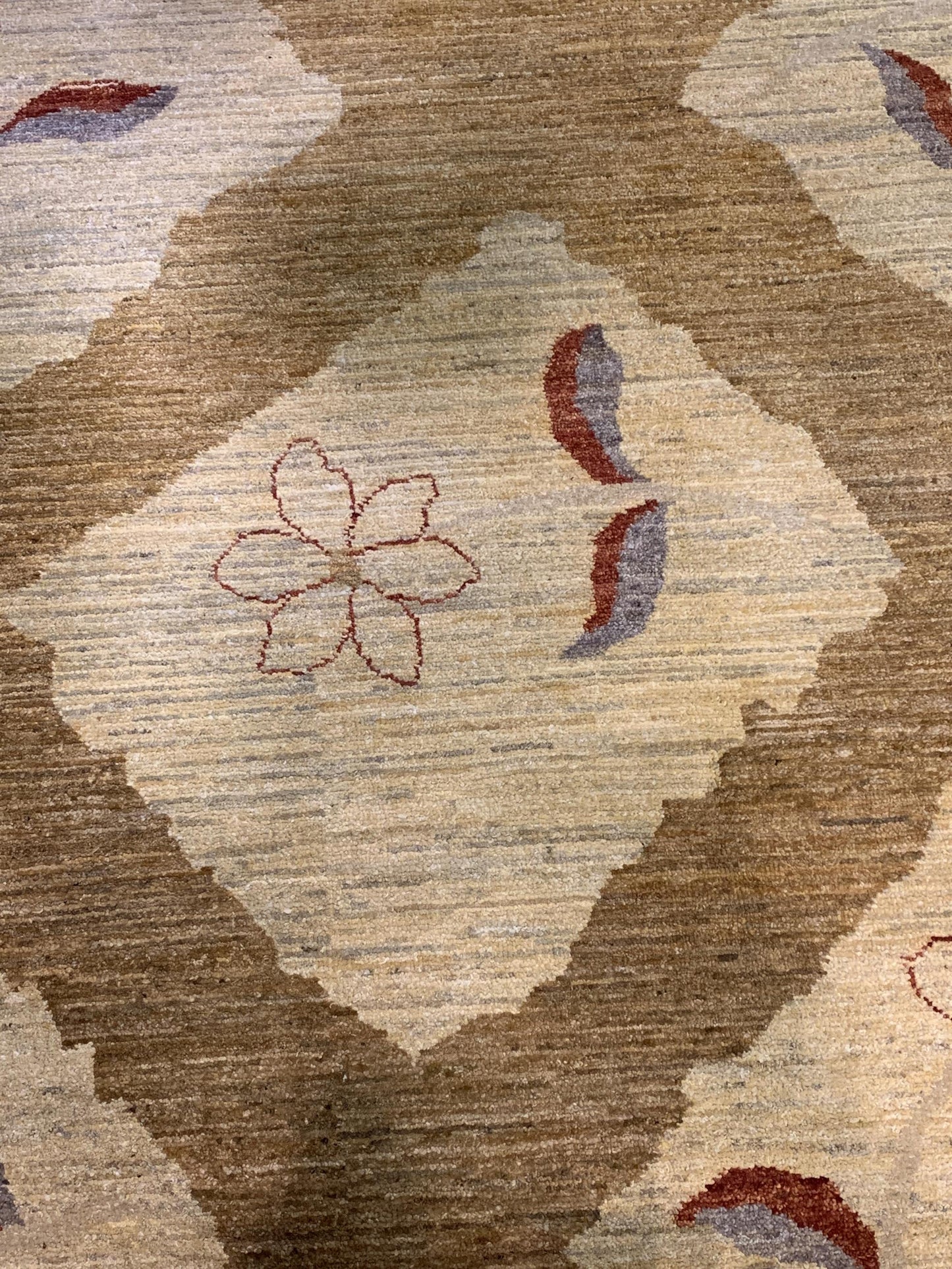 AORug#1005 size. 6' 00" x 8' 10"