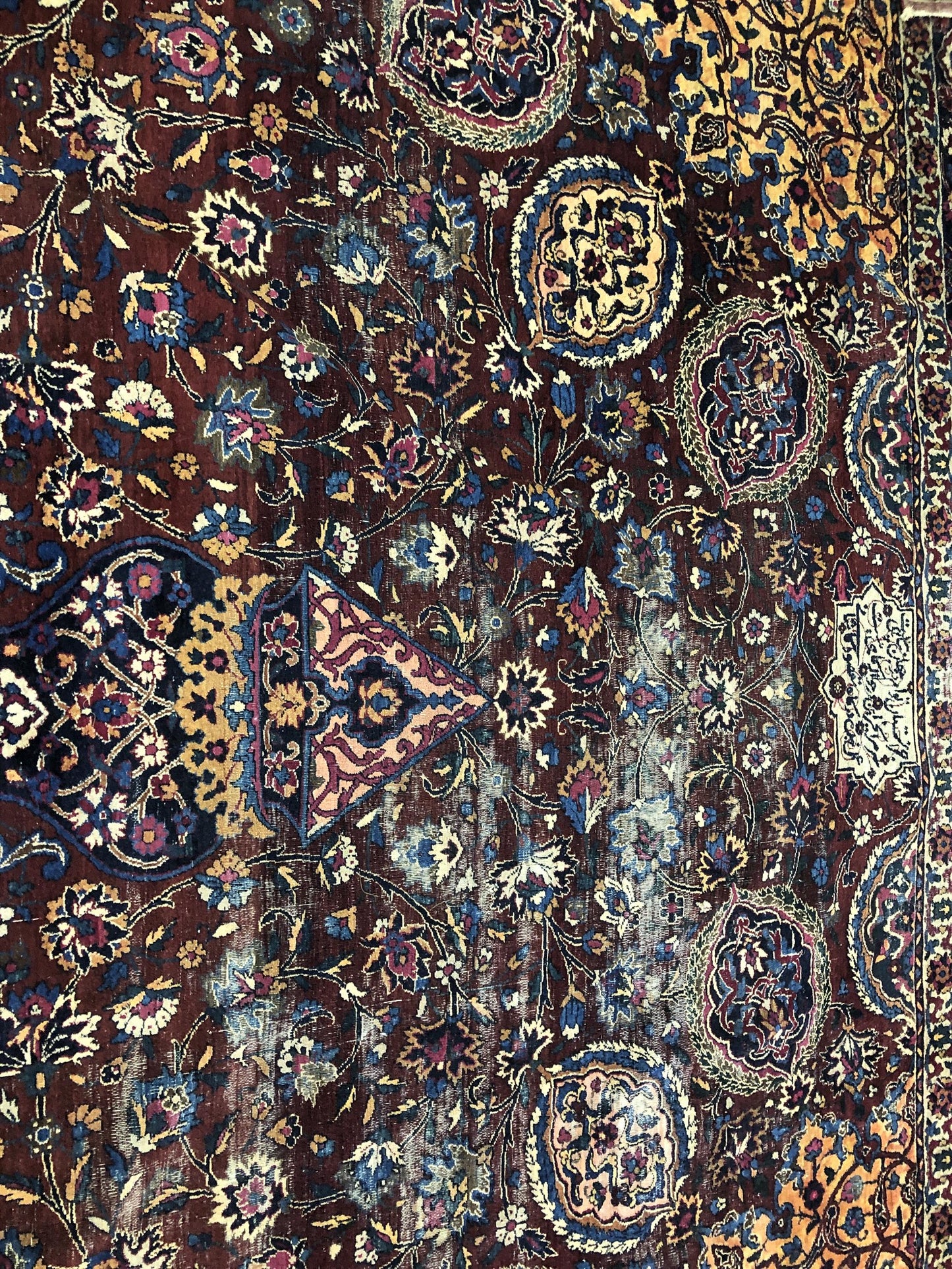AORug#10239 size. 10' 06" x 20' 00"
