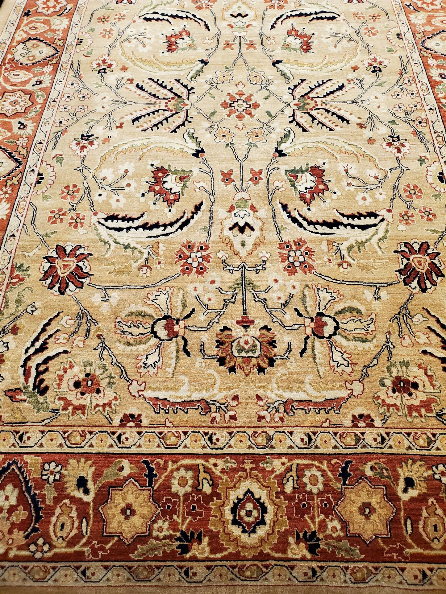AORug#1145 size.5' 11" x 9' 01"