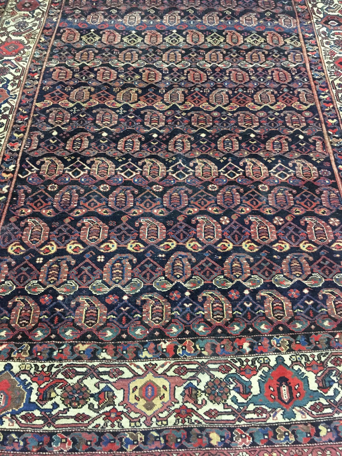 AORug#8132 size. 6' 09" x 11' 02"