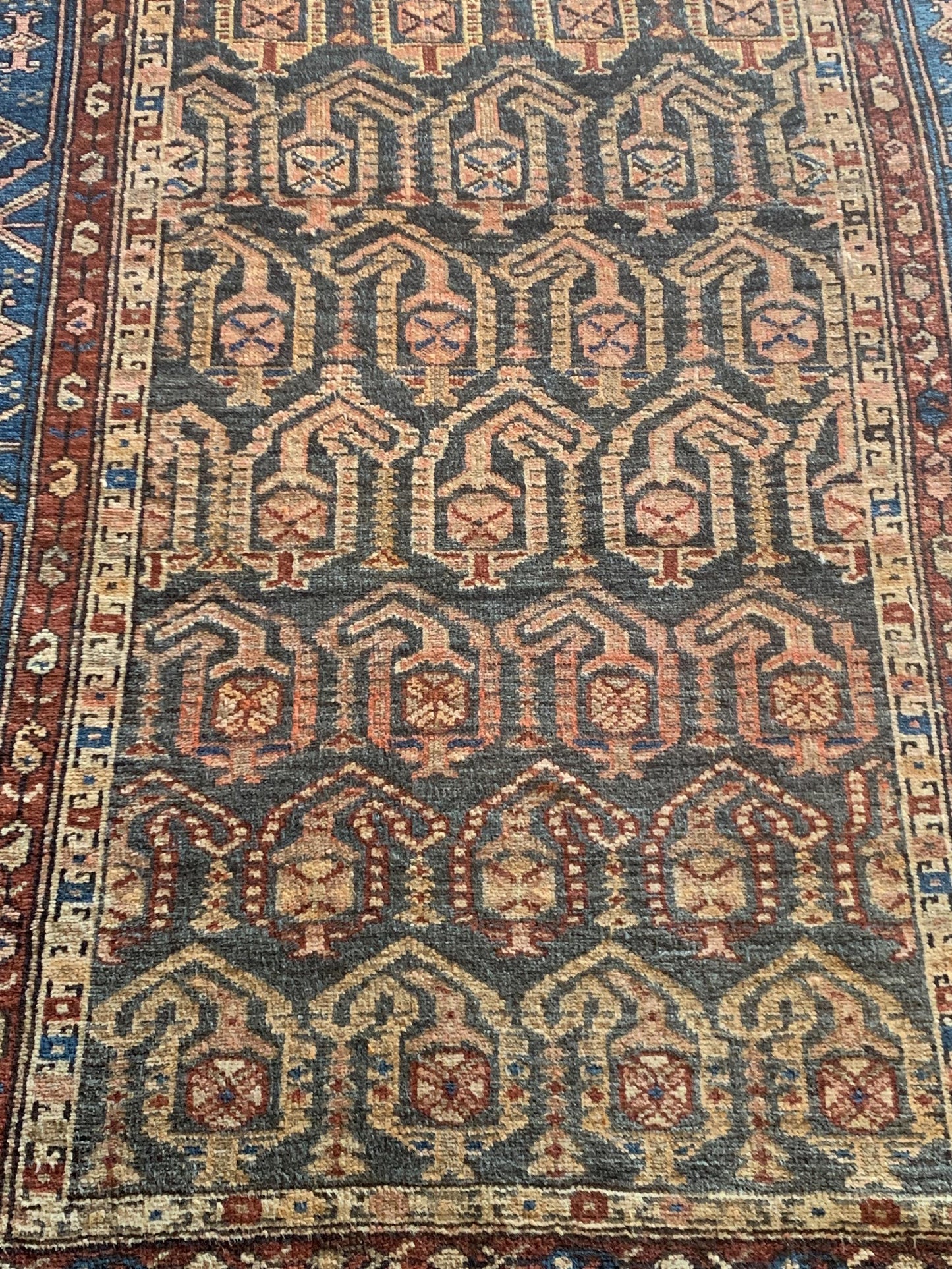 AORug#5207 size. 3' 05" x 6' 08"