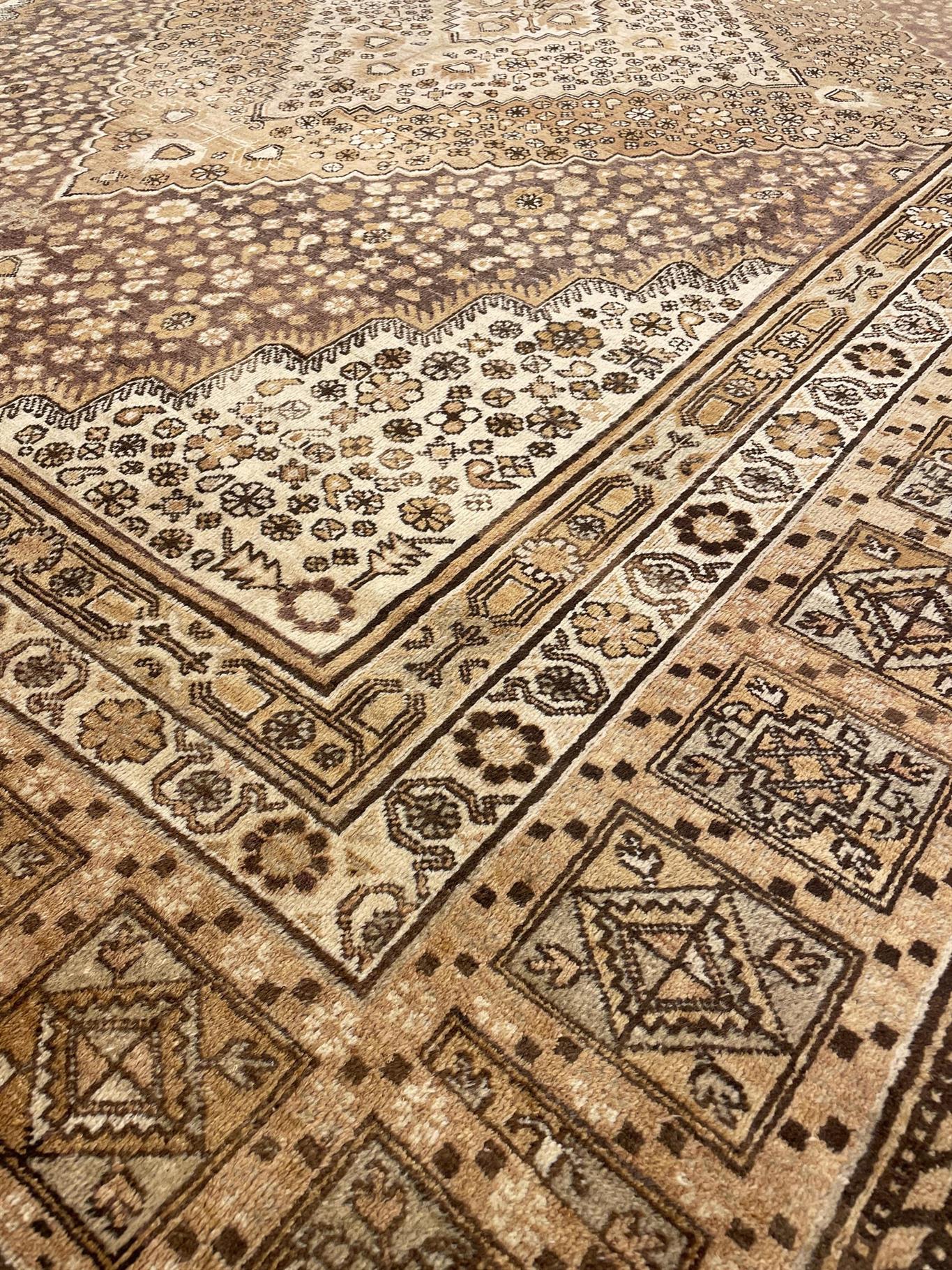 AORug#16531 size. 8' 10" x 18' 00"