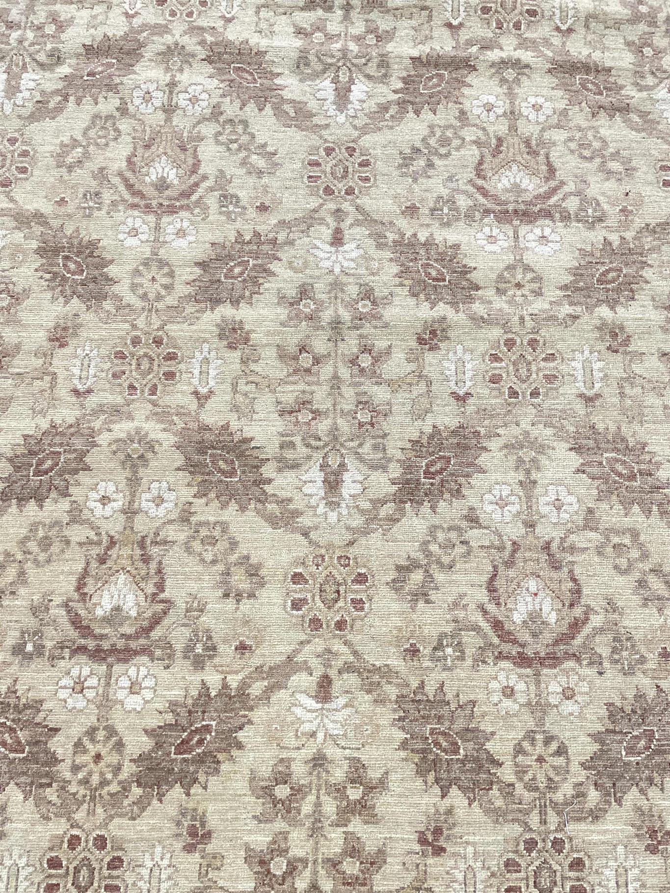 AORug#761 size.13' 11" x 19' 11"