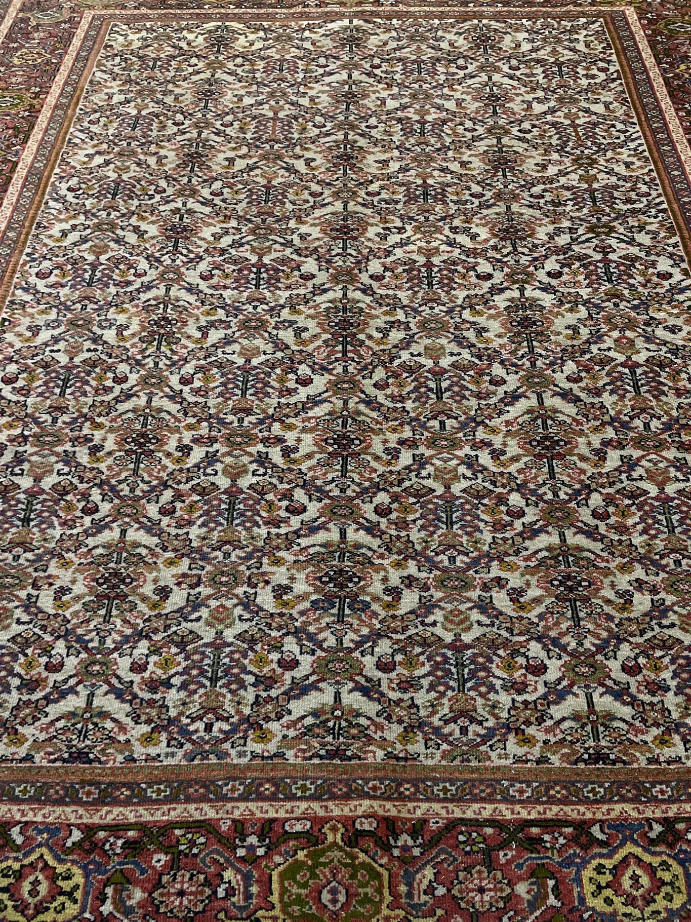 AORug#16370 size. 8' 09" x 10' 00"