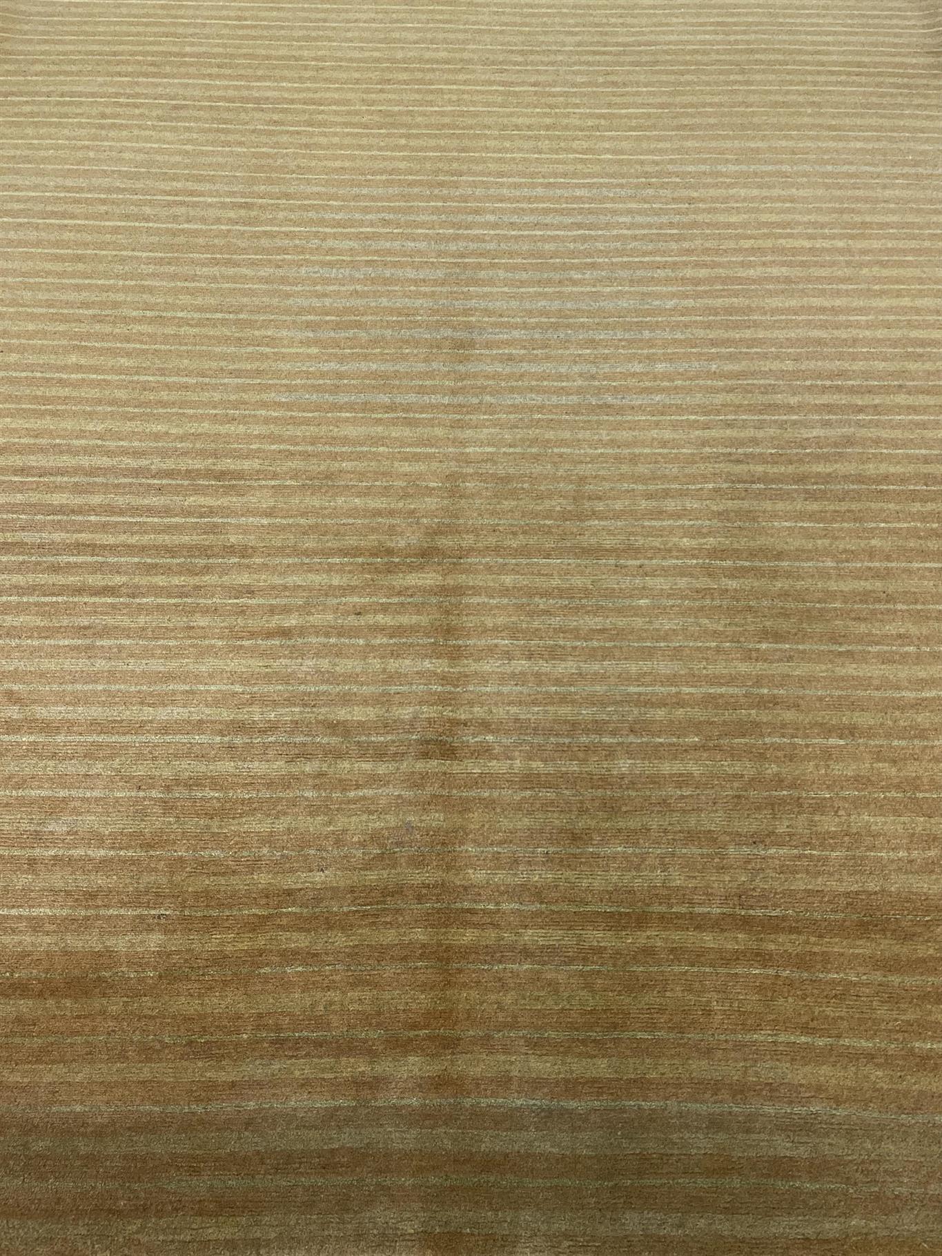 AORug#15628 size. 6' 10" x 9' 10"