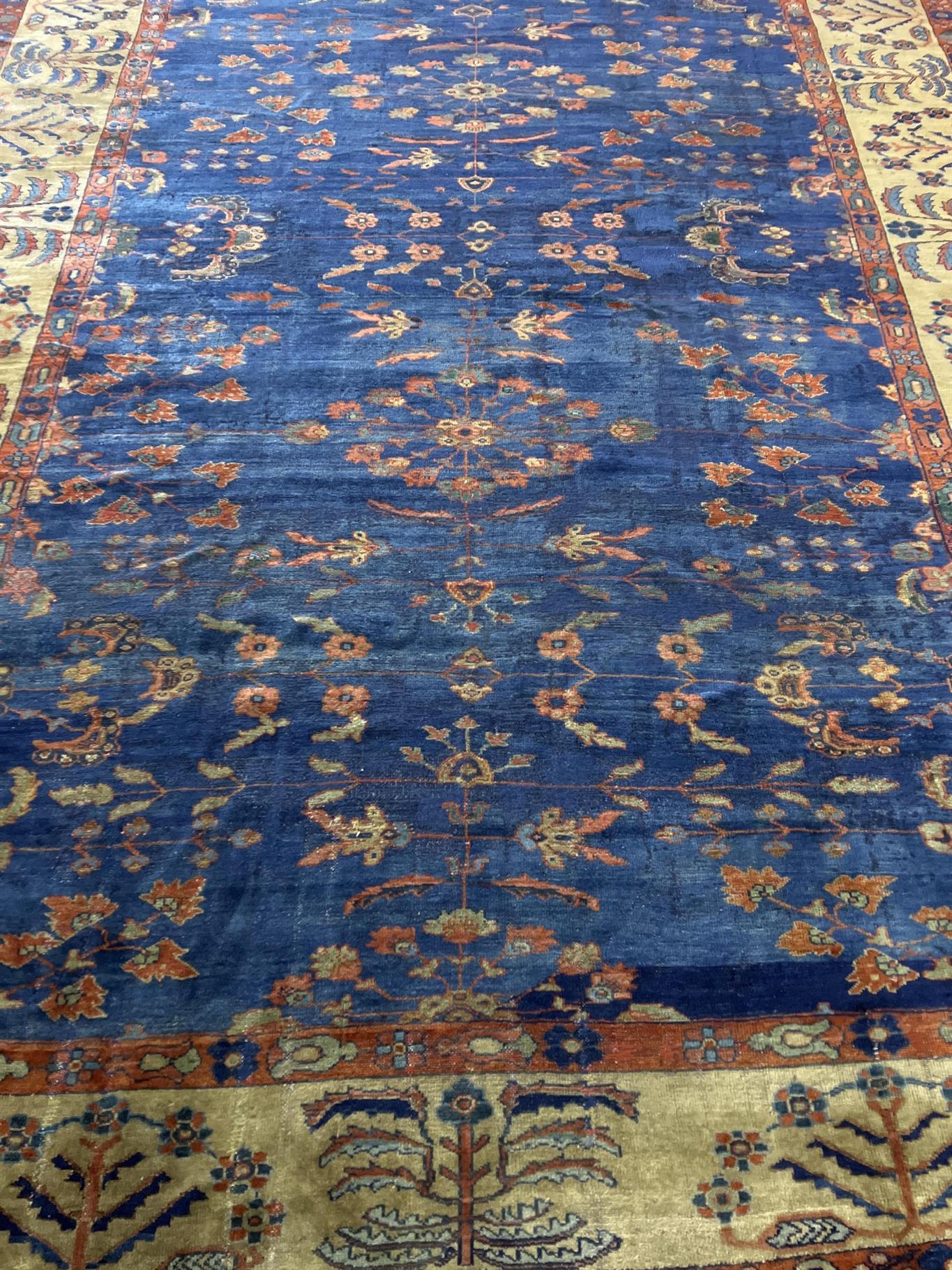 AORug#14485 size. 8' 08" x 11' 00"