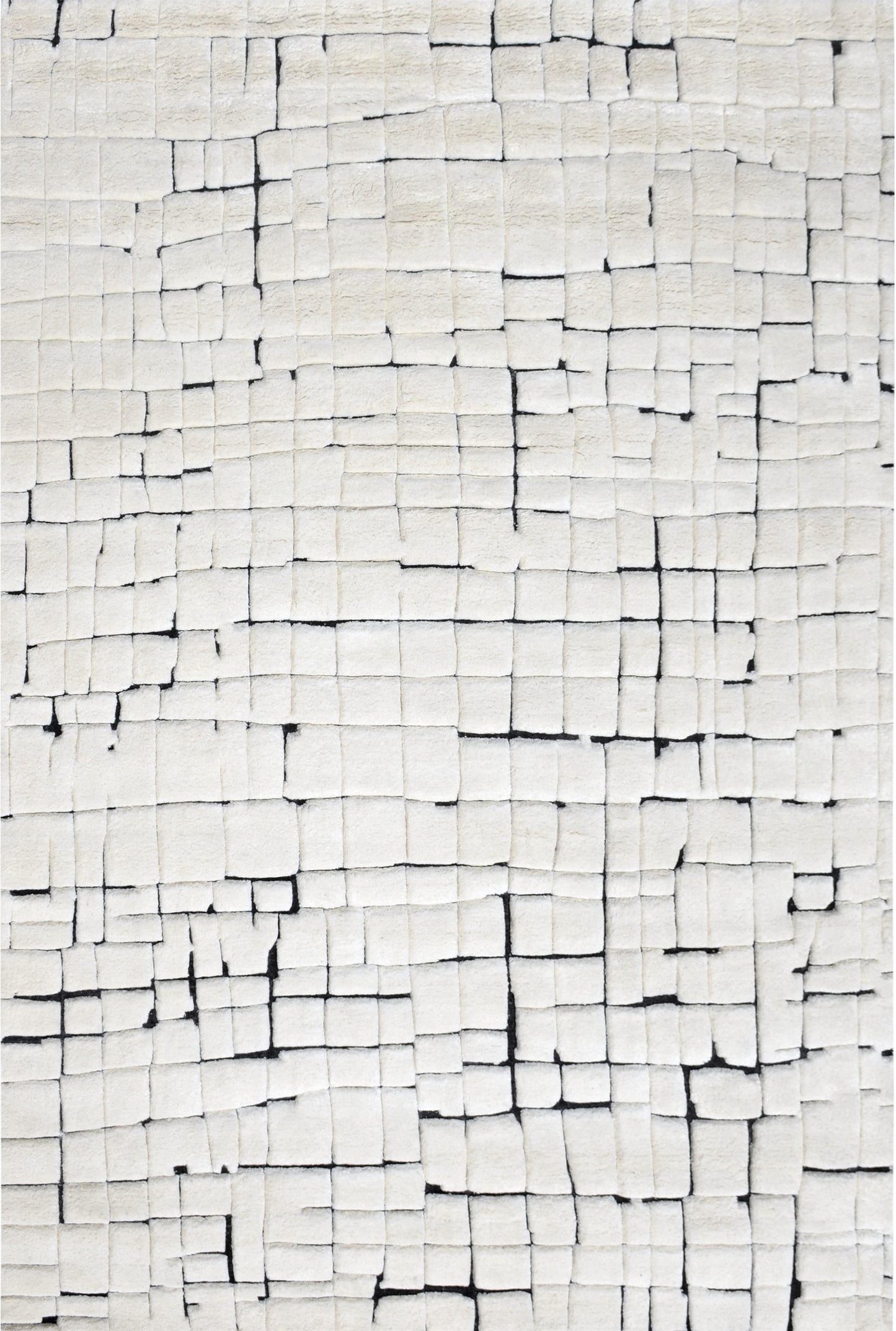 AORug#15002 size. 9'0" X 12'0"