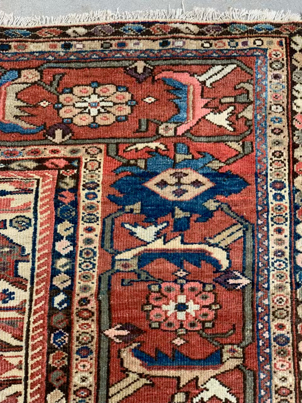 AORug#749 size. 10' x 13' 6"