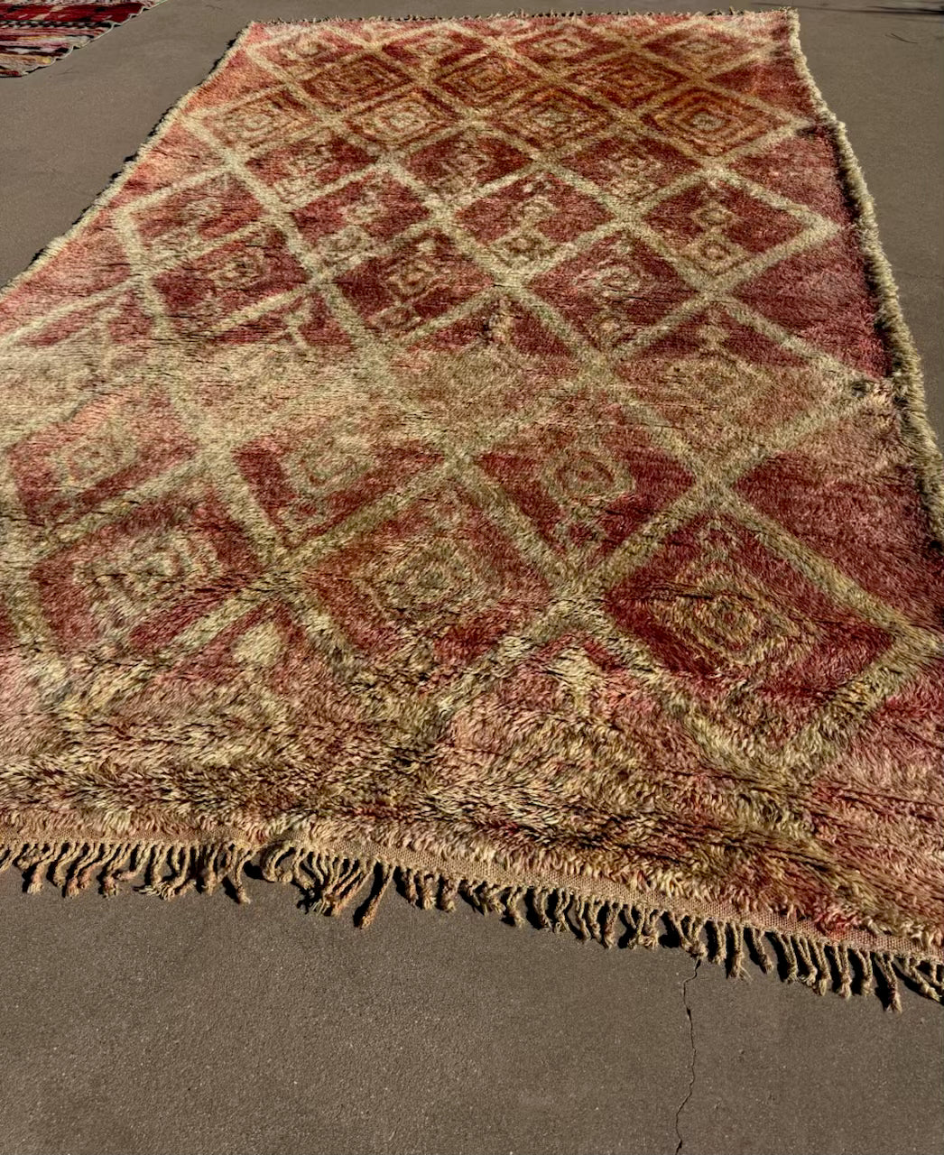 AORug#1835 size.6.4x10.6