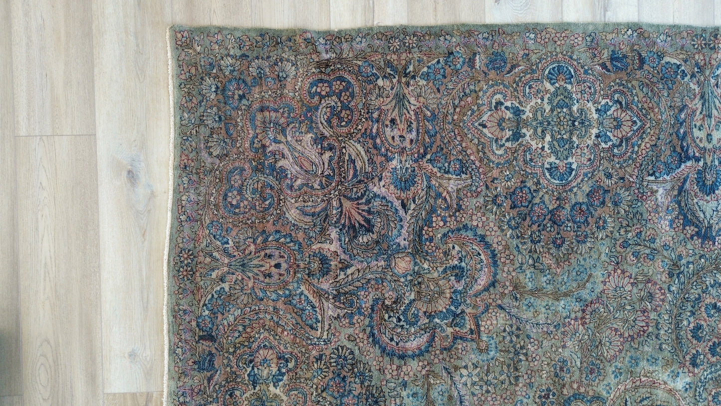 AORug#1356 size.10.7x16.8