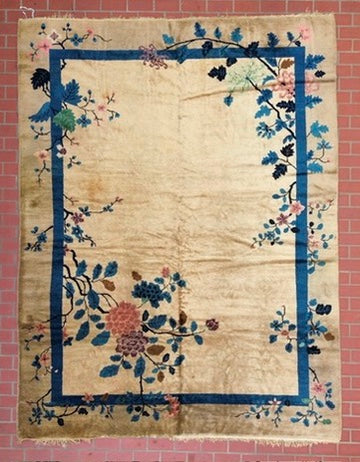 AORug#1791 size. 9 x 12