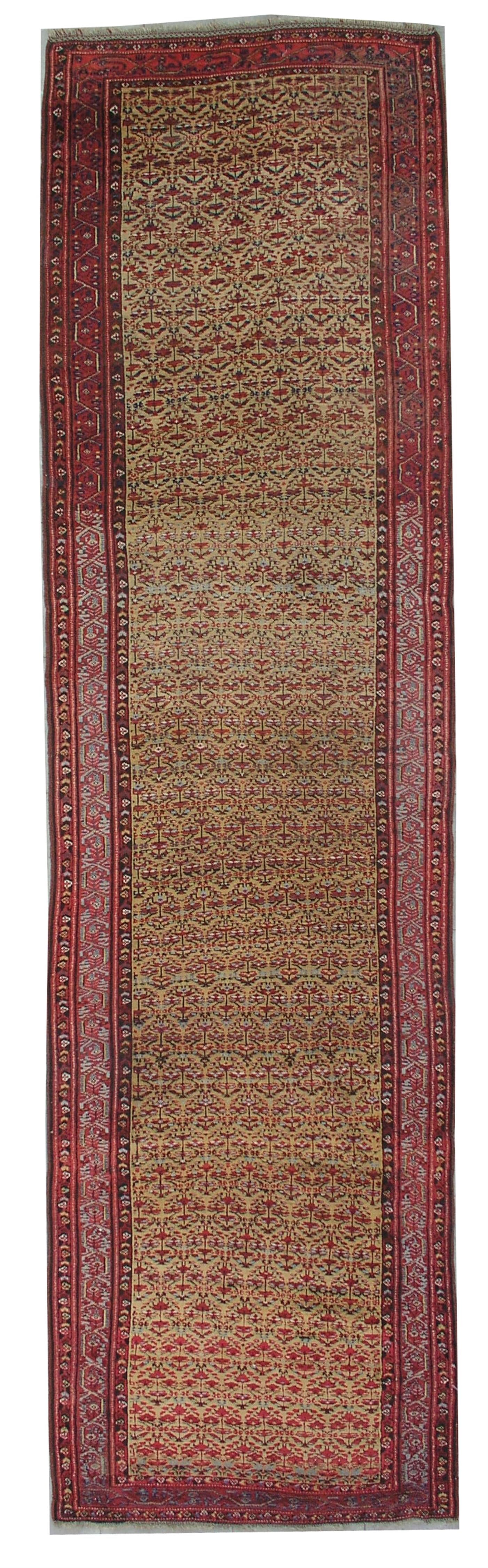 AORug#2697 size. 3' 10" x 14' 00"