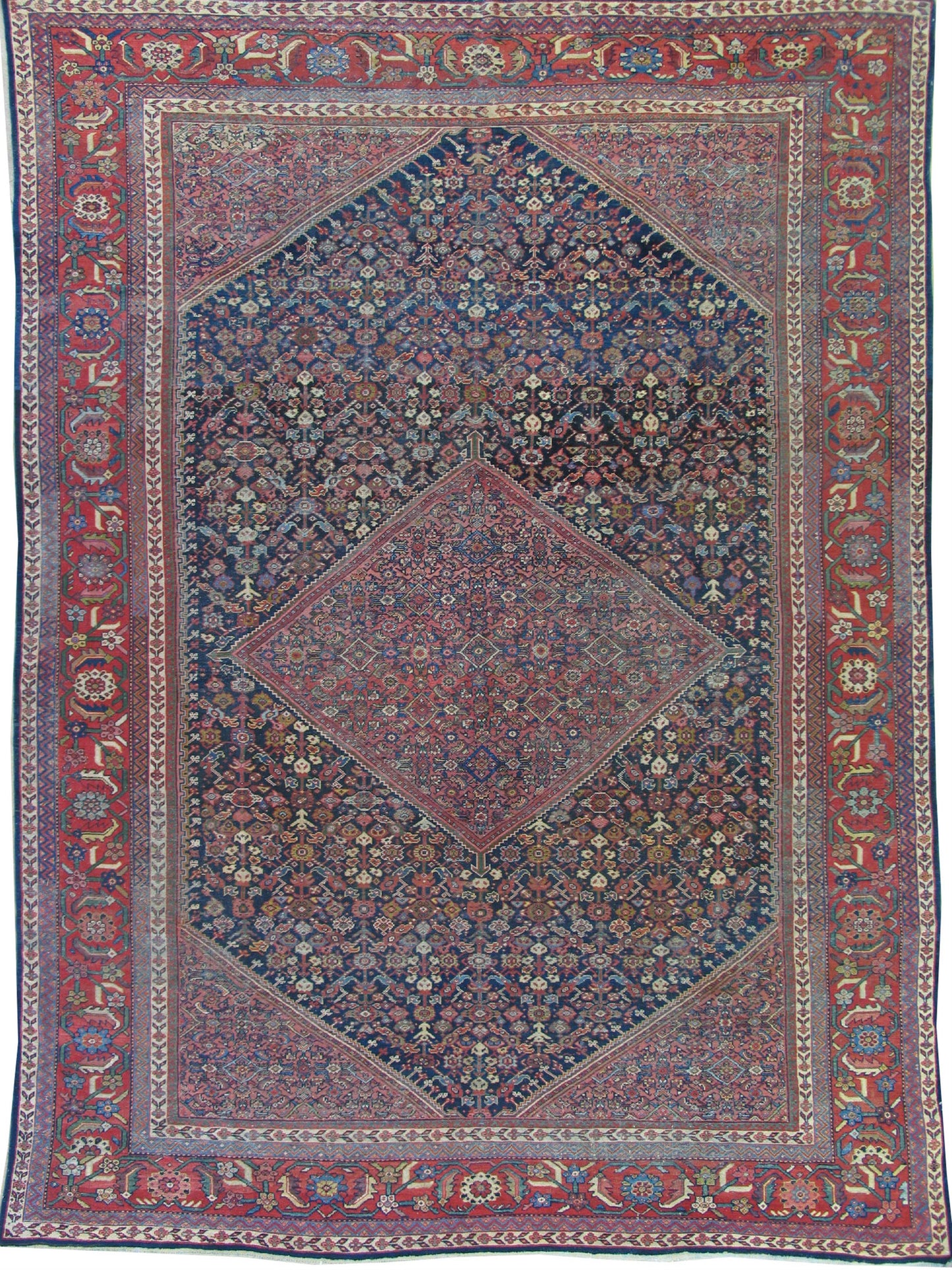 AORug#3238 size. 10' 07" x 13' 00"