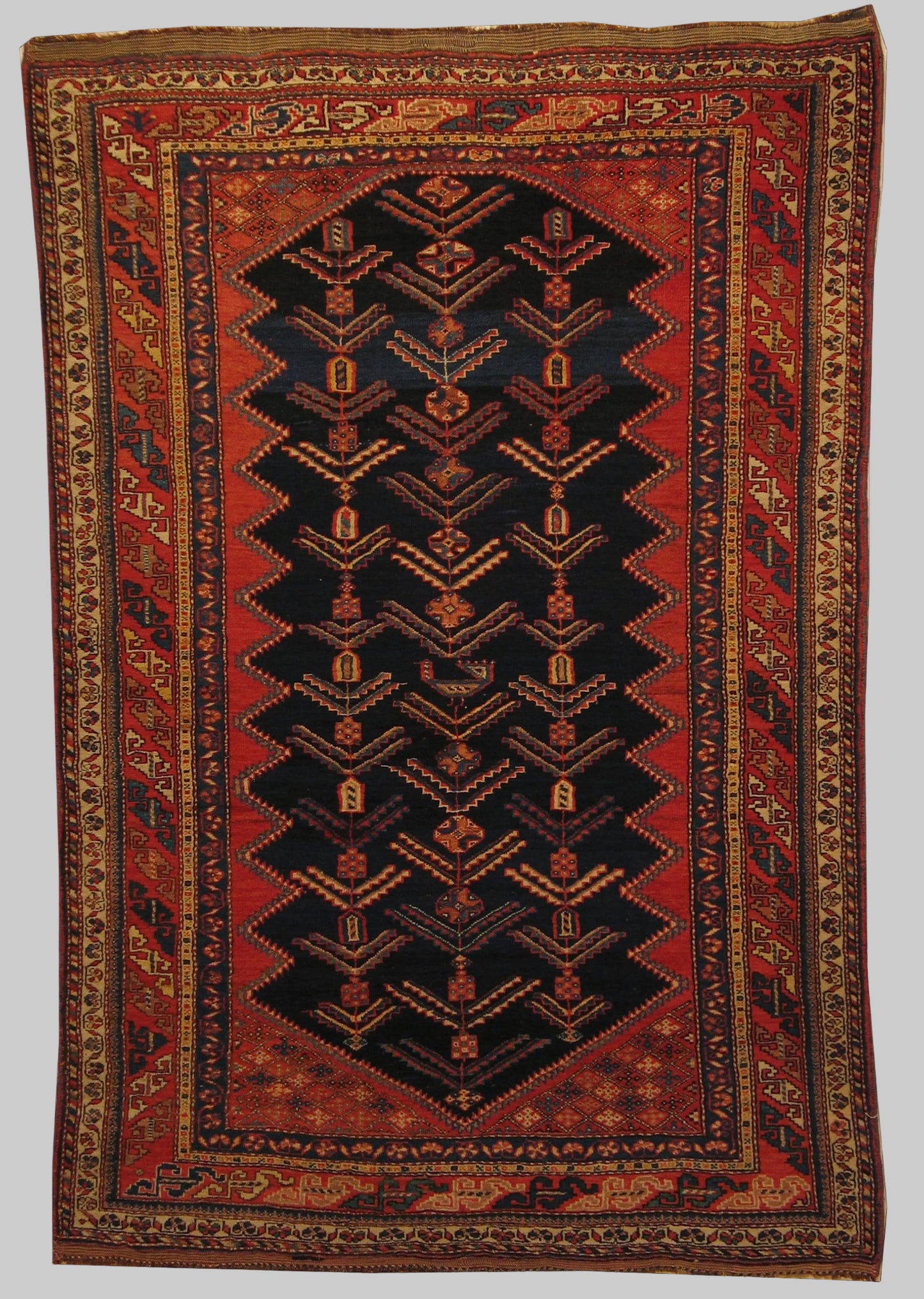 AORug#4072 size. 4' 03" x 6' 00"