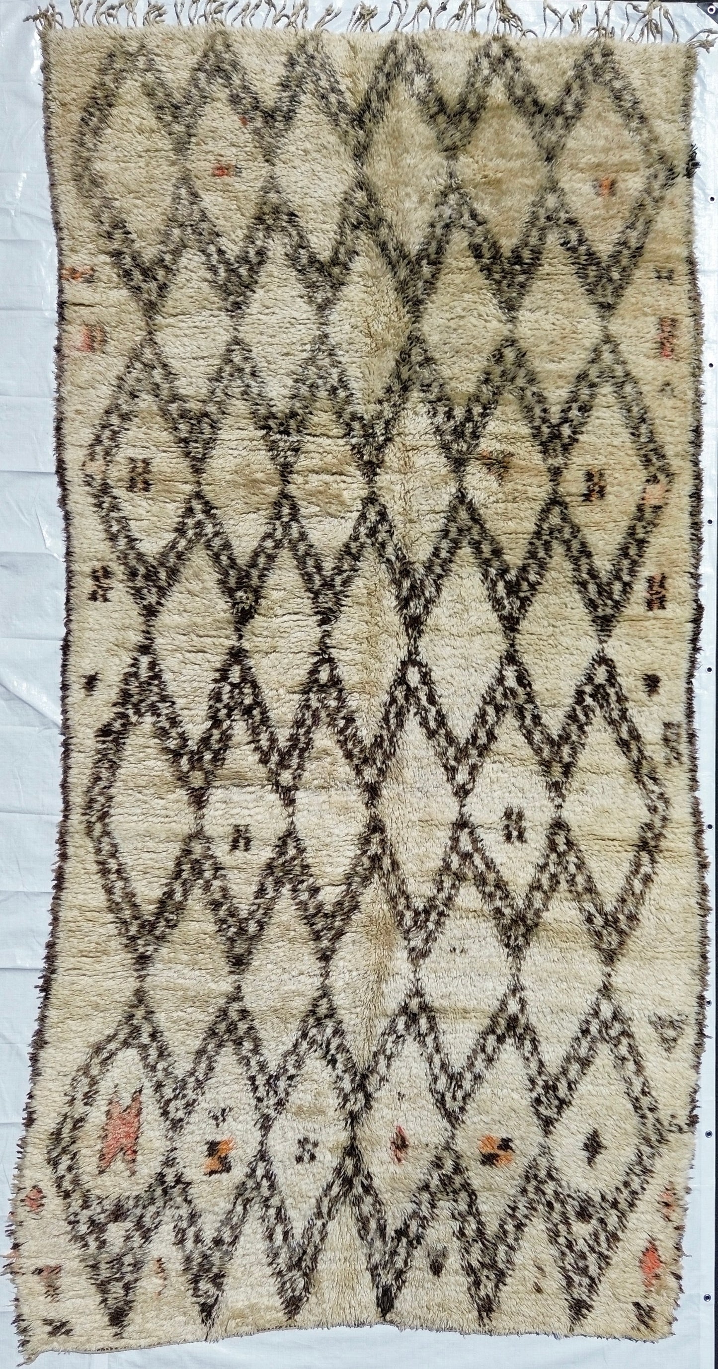 AORug#694 size.13.4x6.7