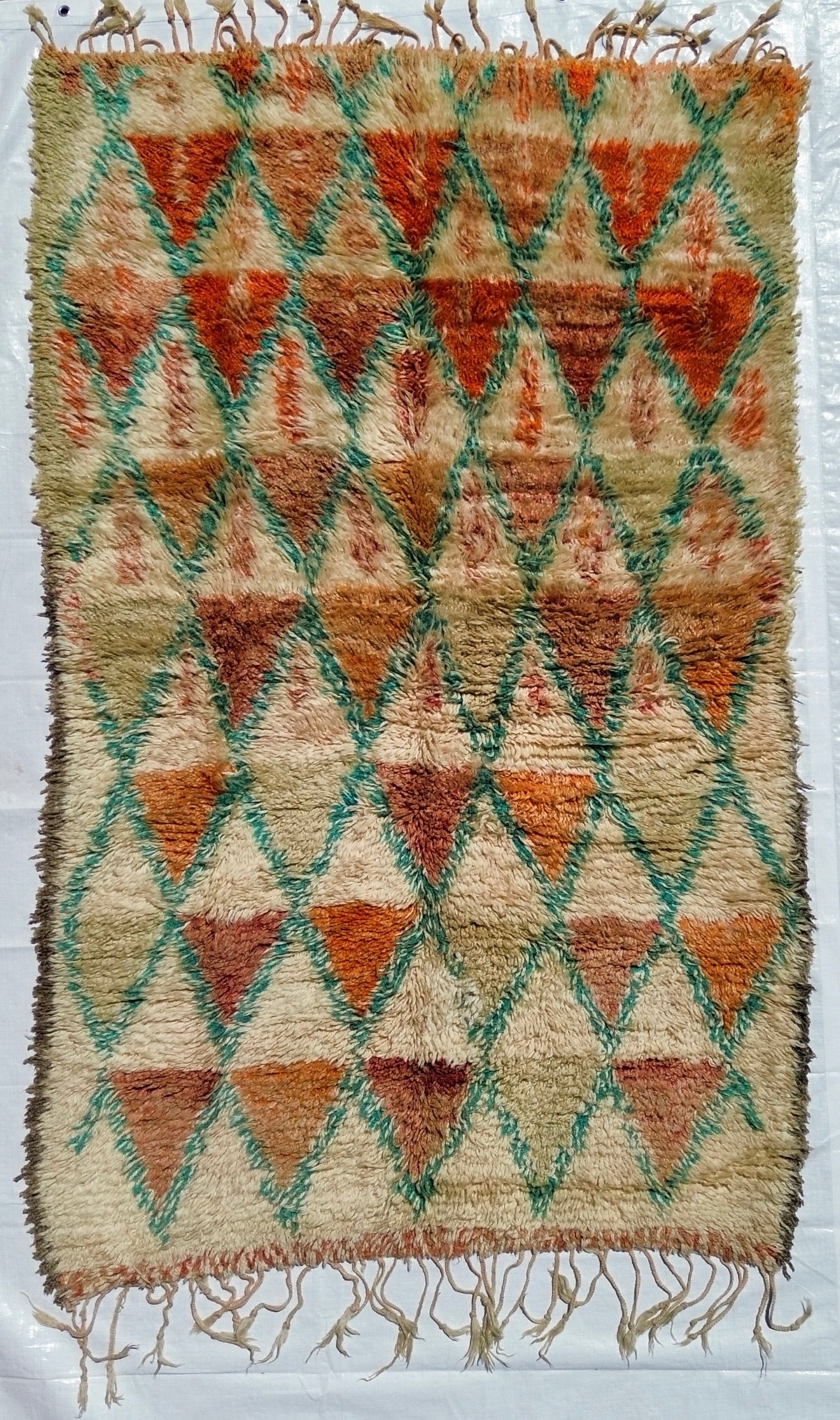 AORug#692 size.4.8X8.2