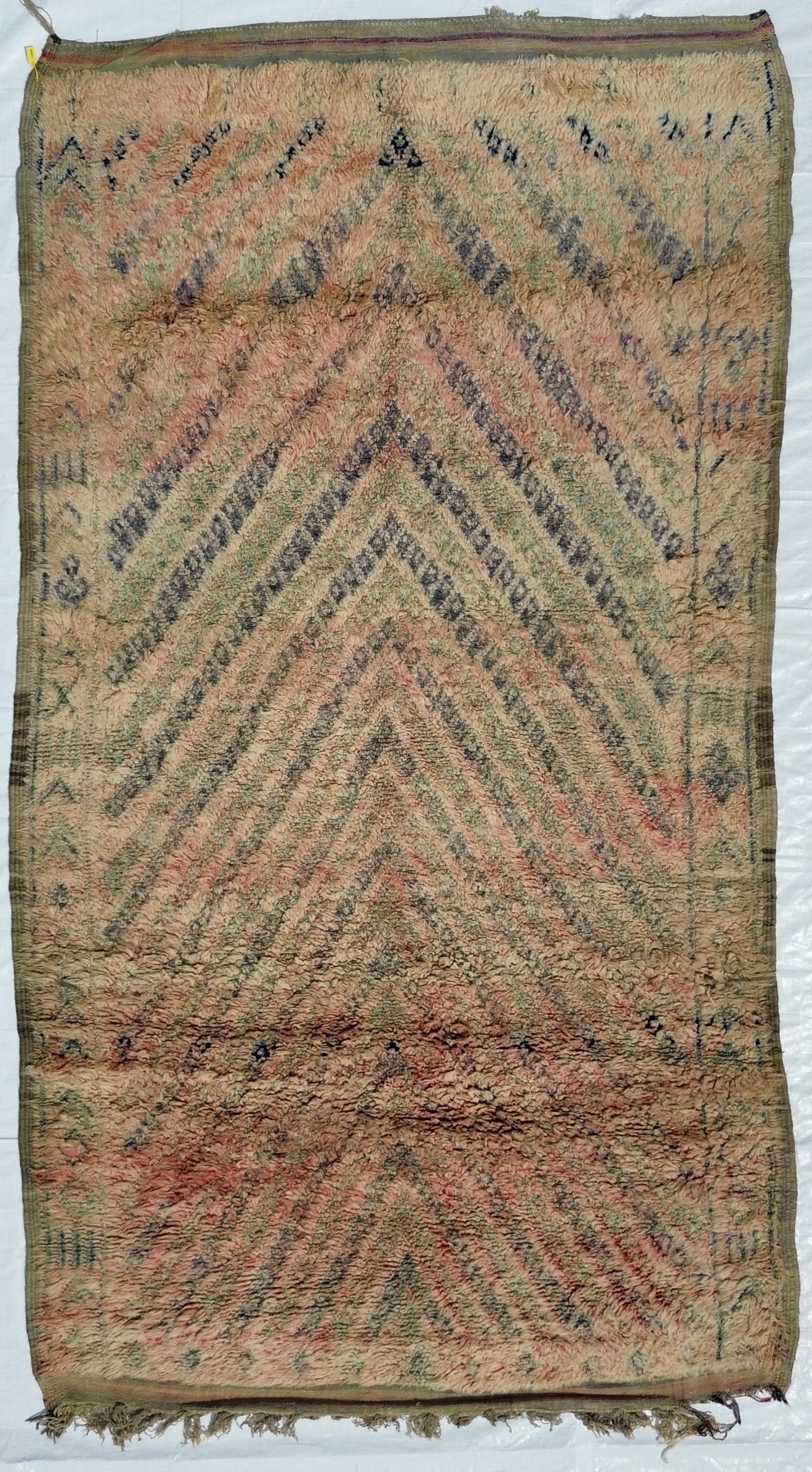 AORug#318 size.5.10x11