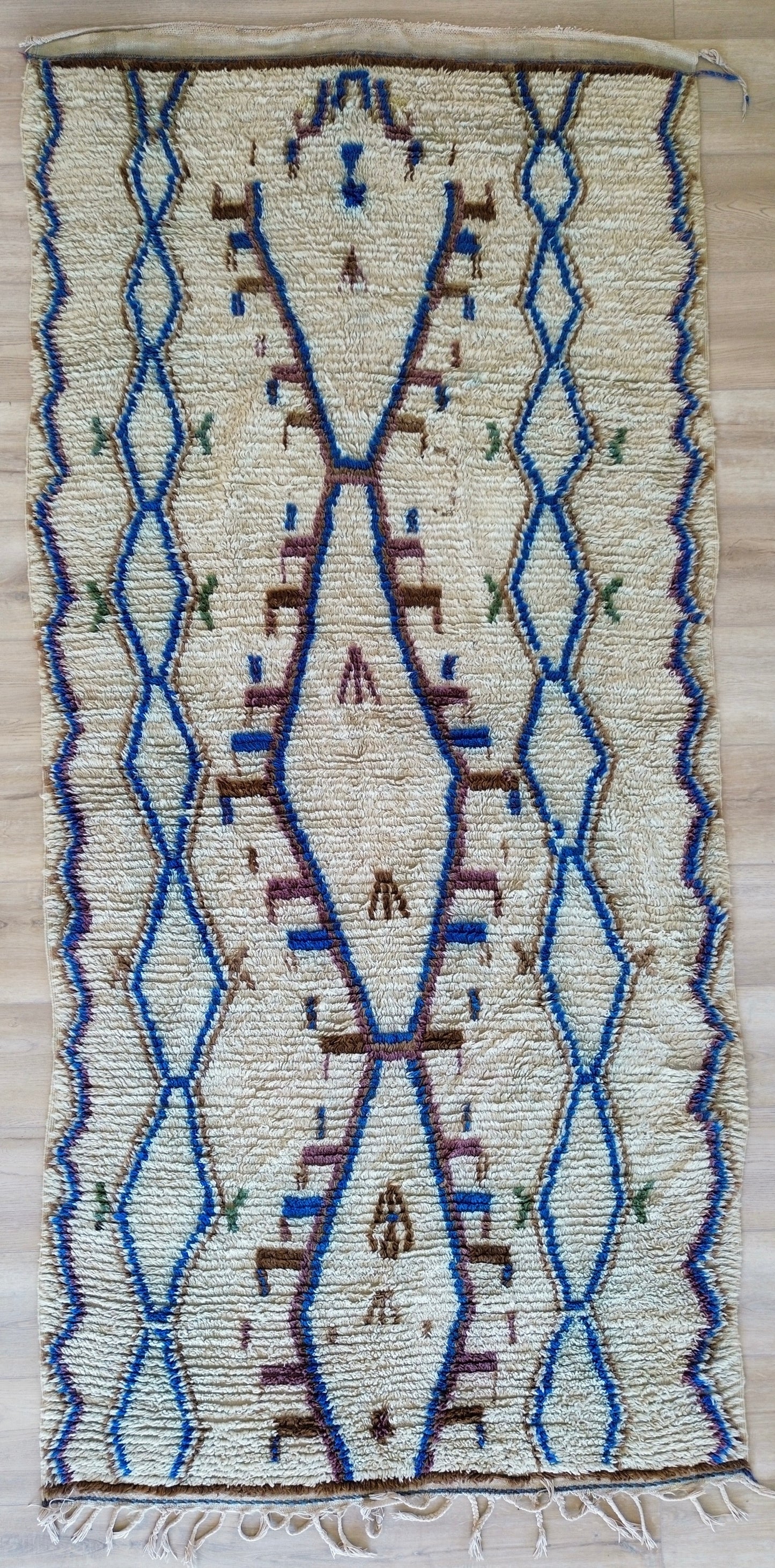 AORug#1238 size.